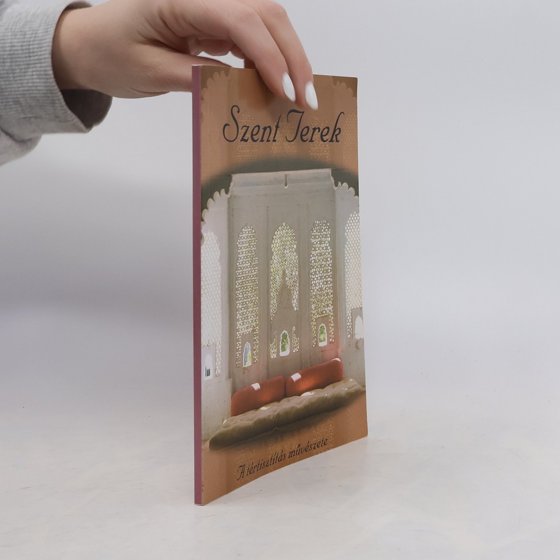 Autorenkollektiv Szent Terek: A tértisztítás művészete