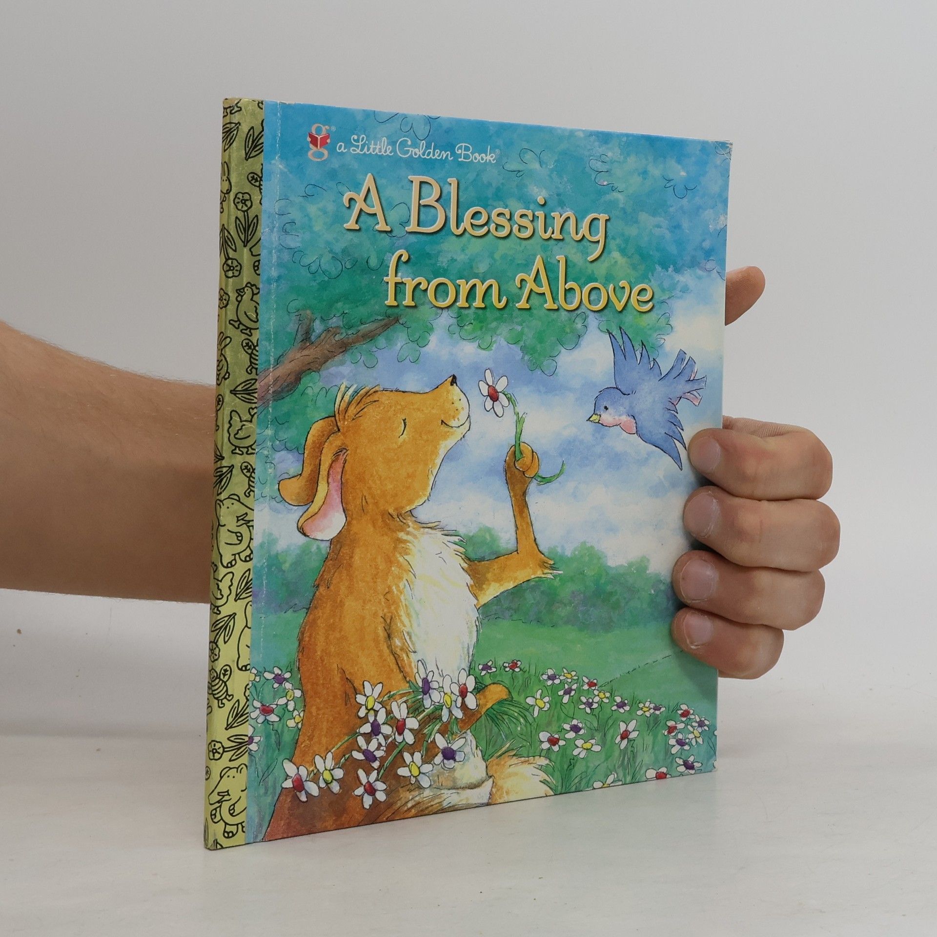 Patti Henderson A Little Golden Book: A Blessing from Above