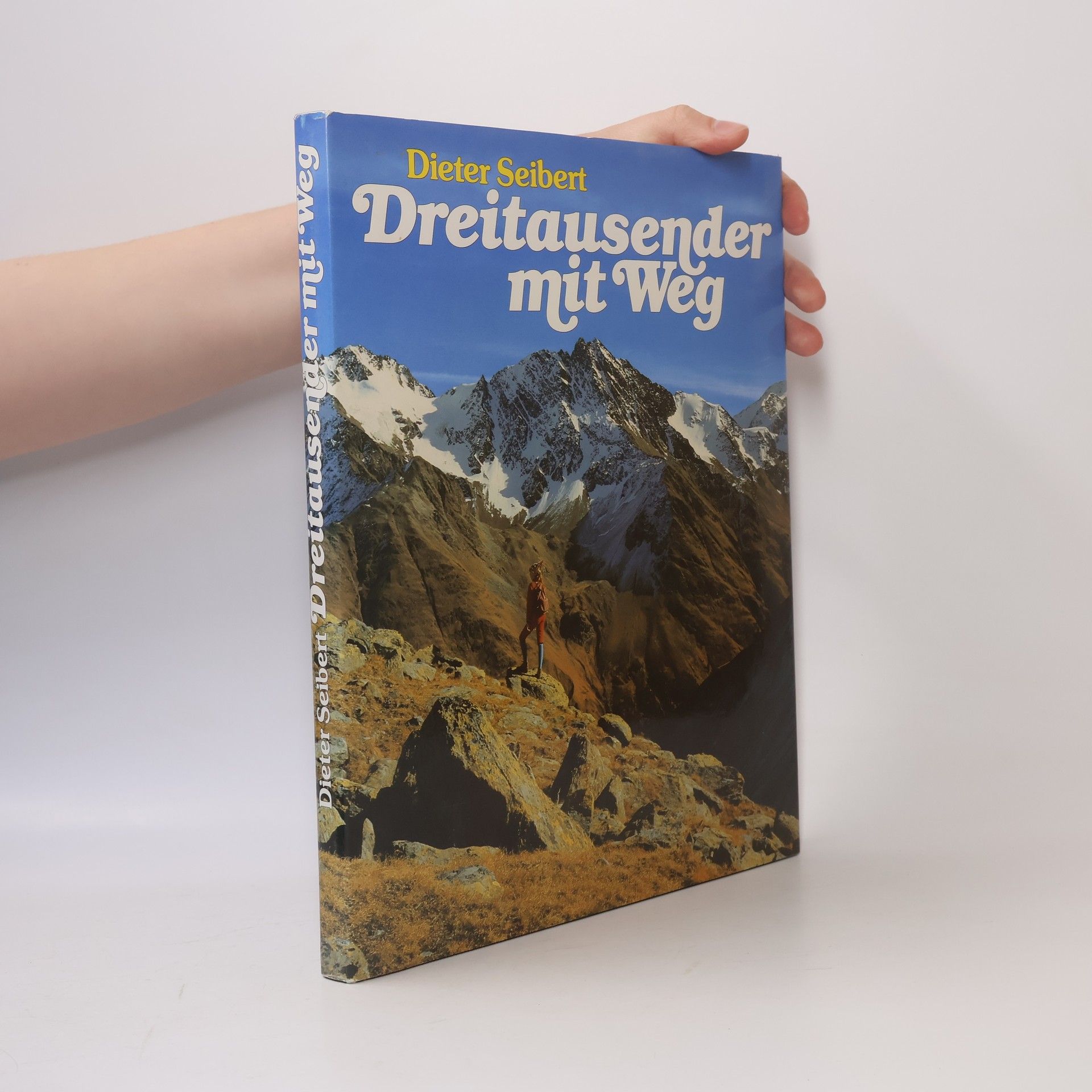 Dieter Seibert Dreitausender mit Weg