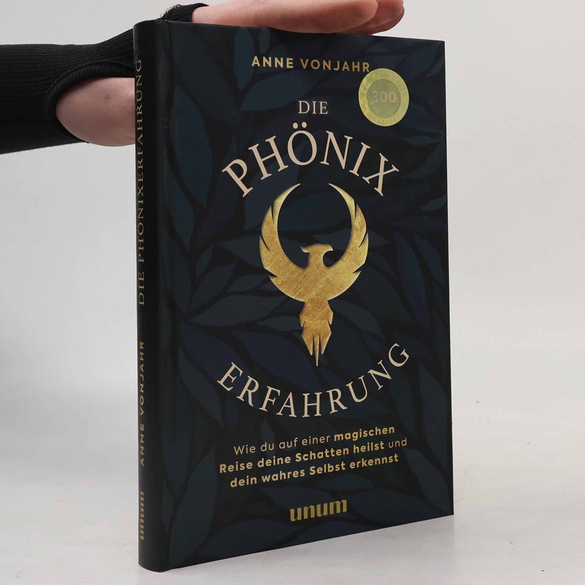 Die Phönixerfahrung