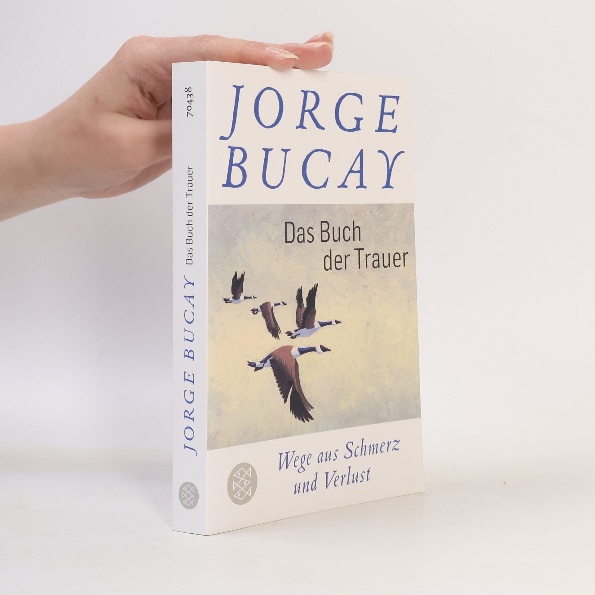 Jorge Bucay Das Buch der Trauer