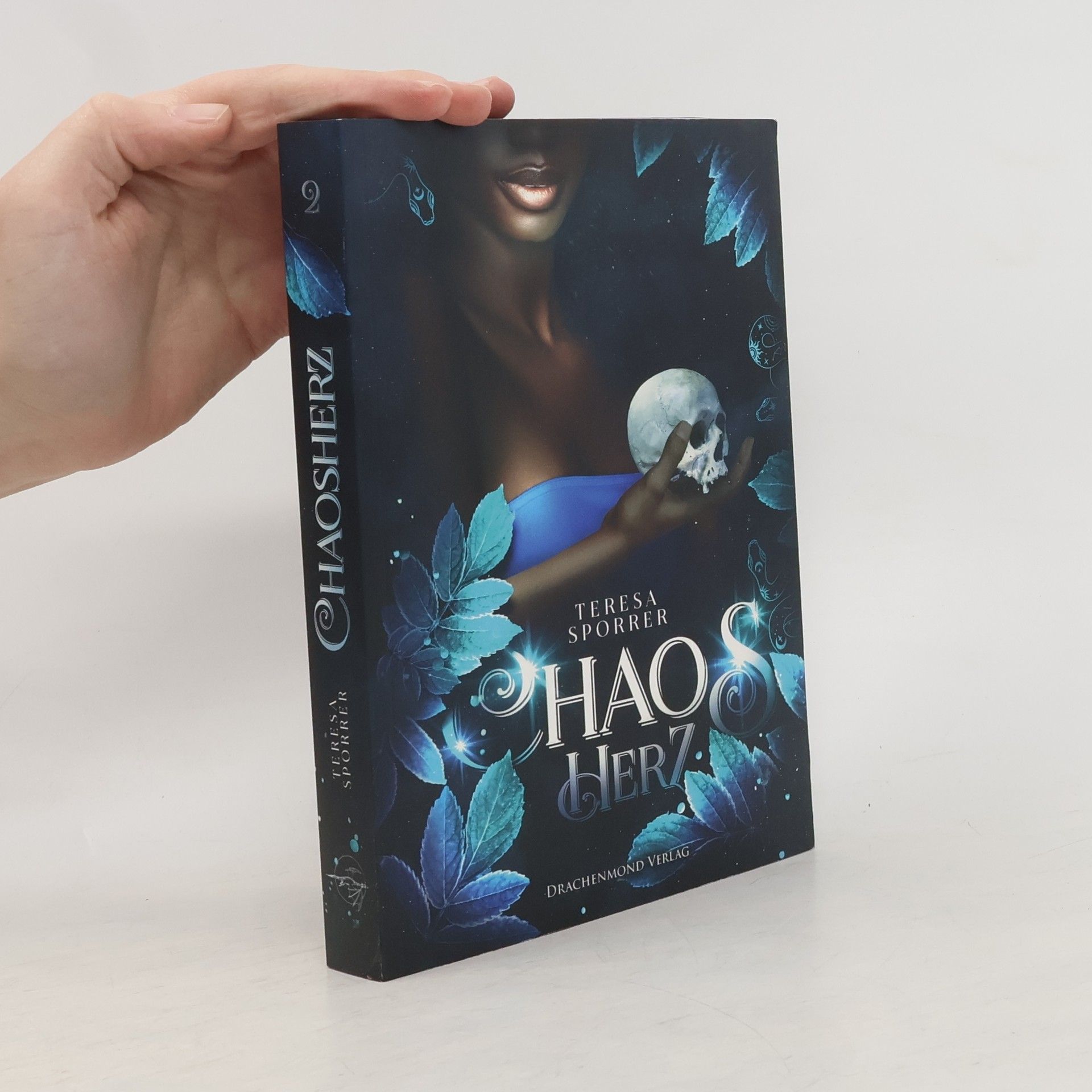 Jo Schneider Die letzten Zeilen der Nacht