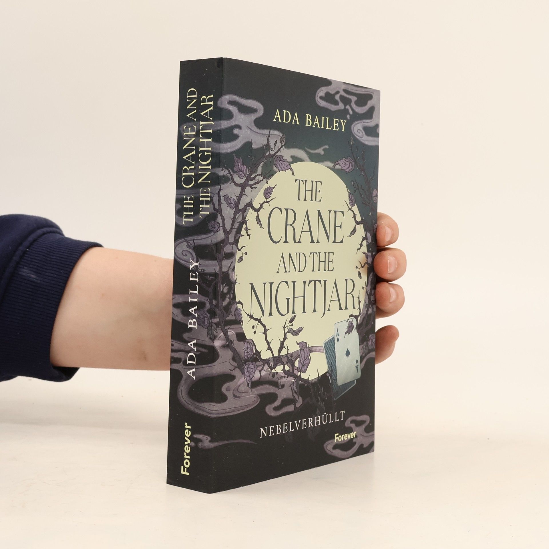 Ada Bailey The Crane and the Nightjar