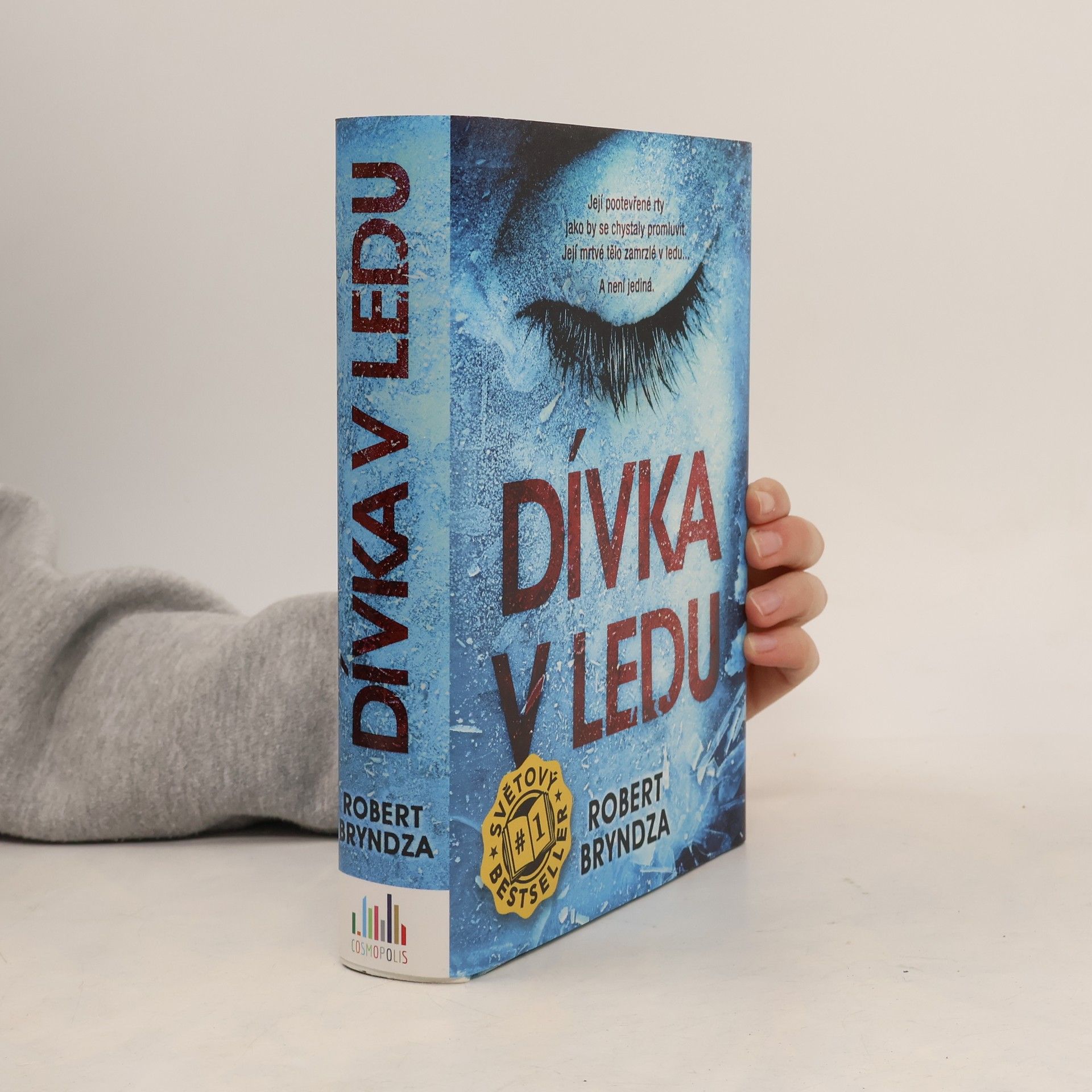 Robert Bryndza Dívka v ledu