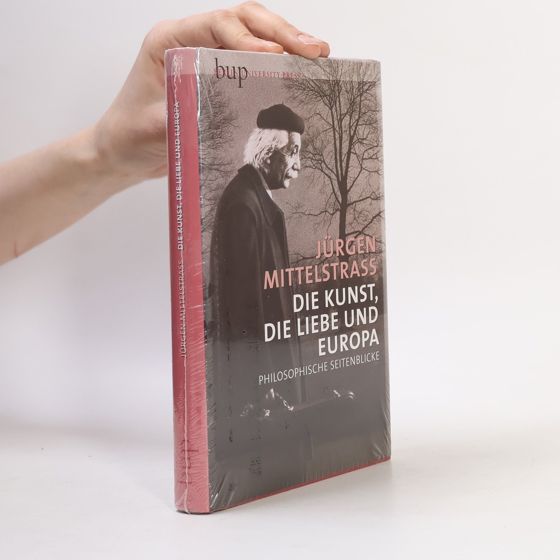 Jürgen Mittelstraß Die Kunst, die Liebe und Europa