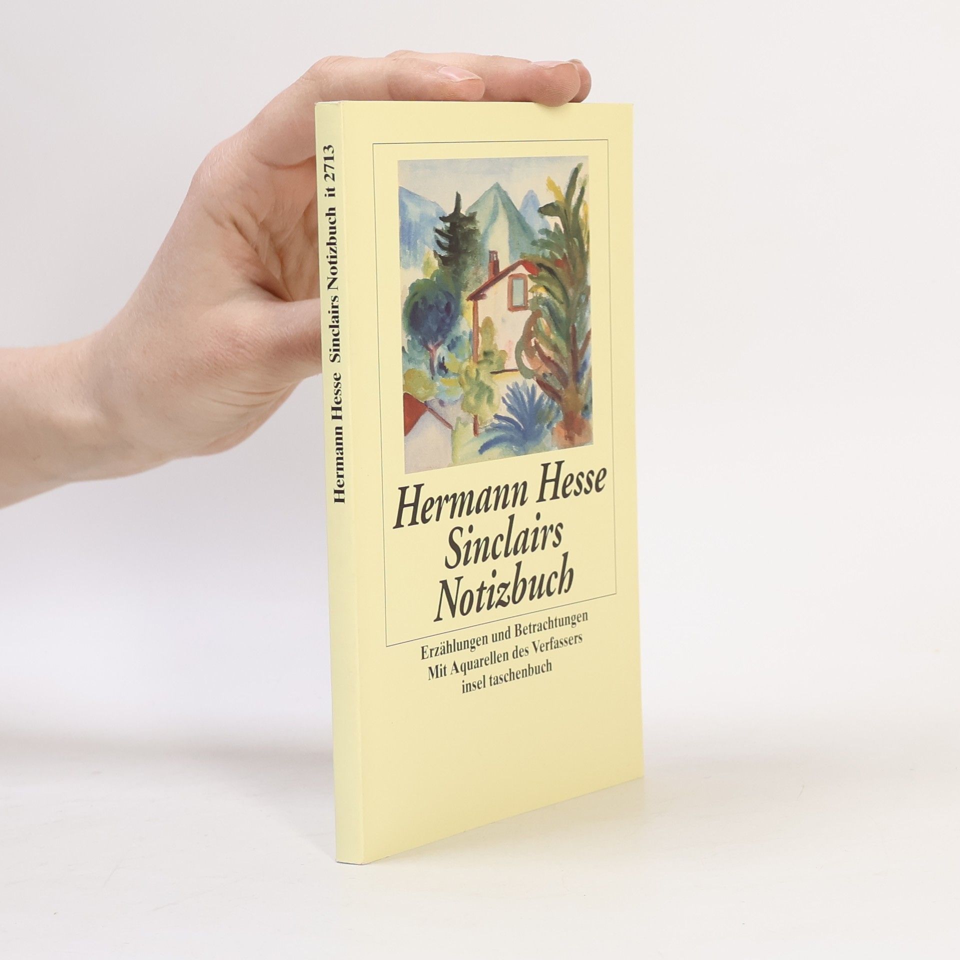 Hermann Hesse Sinclairs Notizbuch