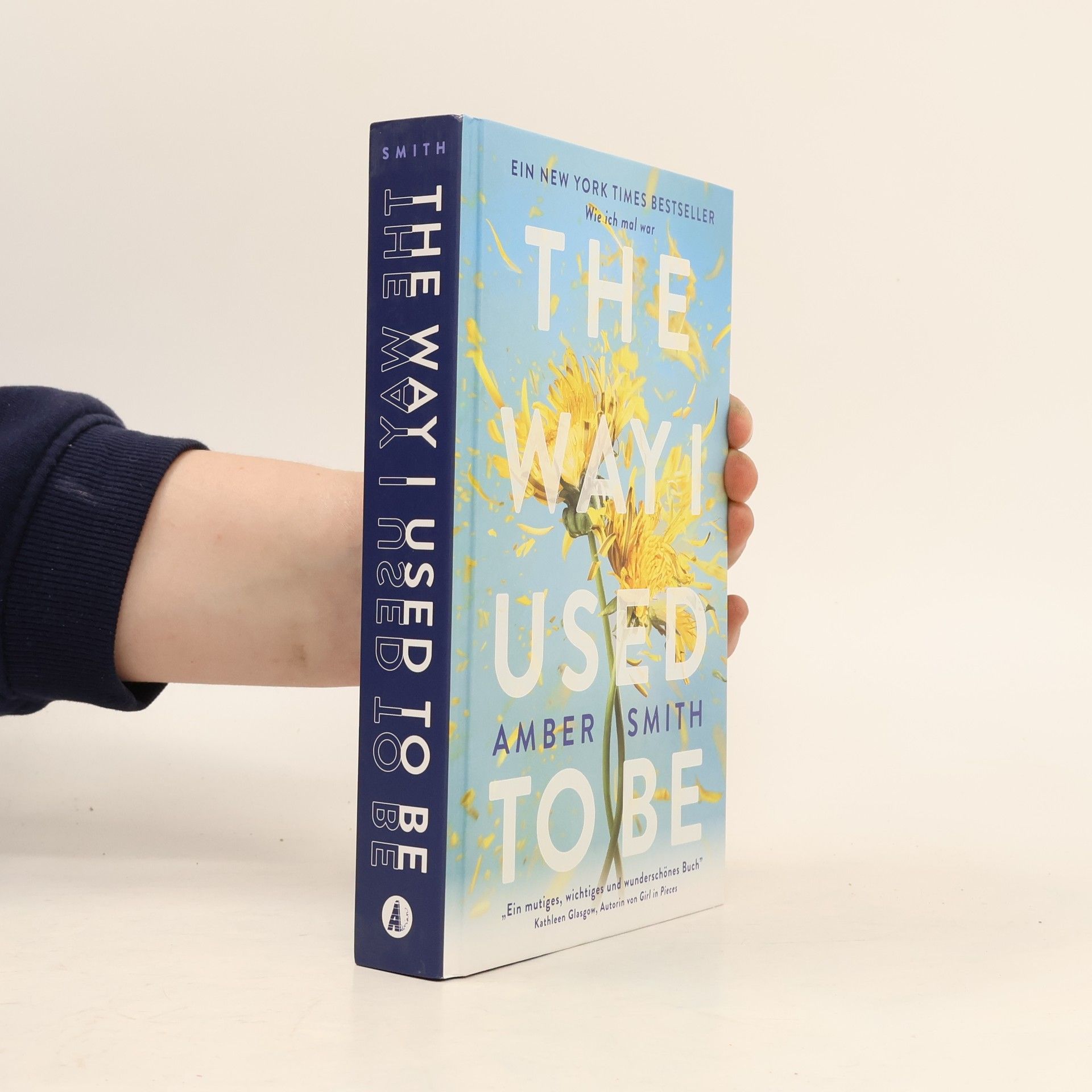 Amber Smith Wie ich mal war. The Way I Used to Be