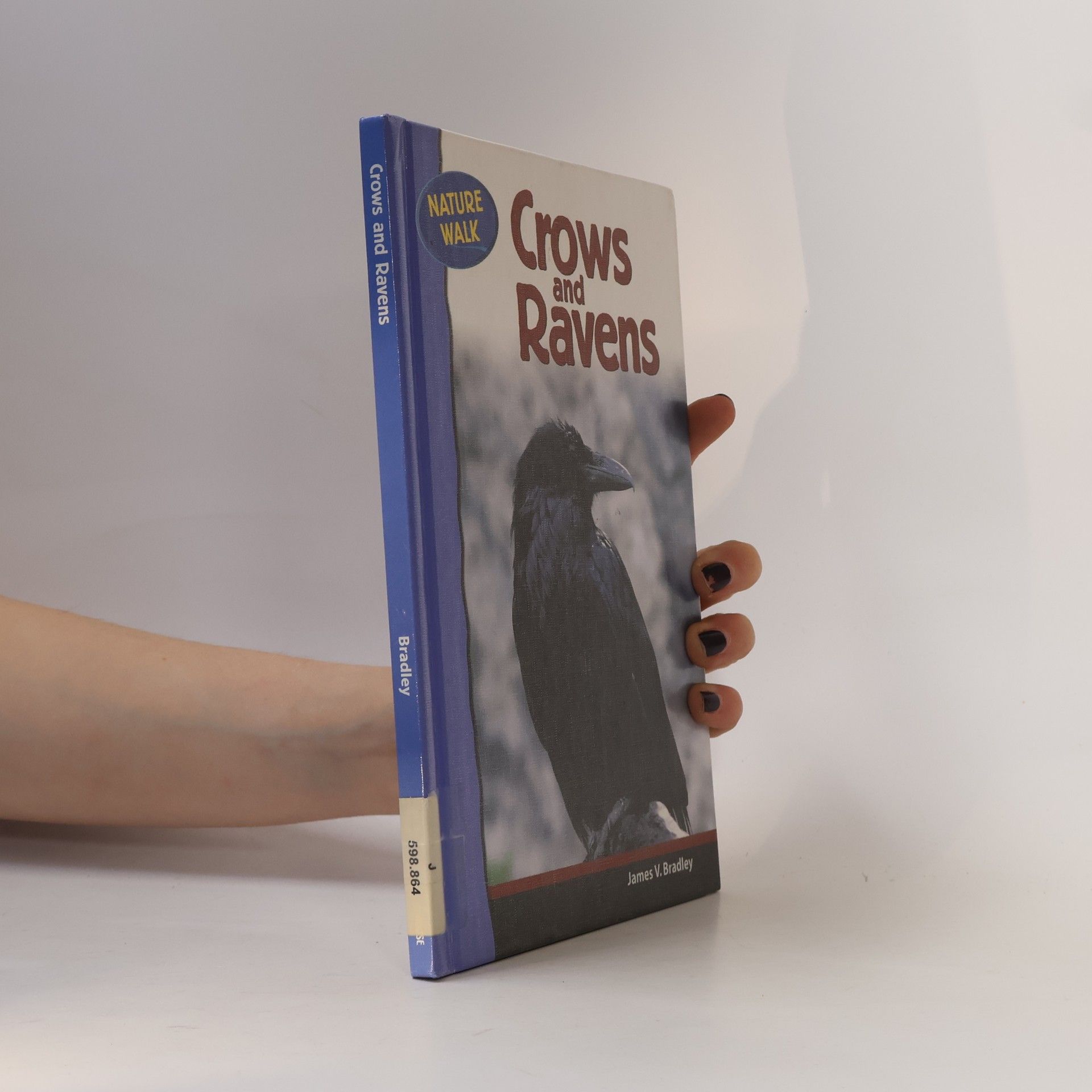 James V. Bradley Crows and Ravens