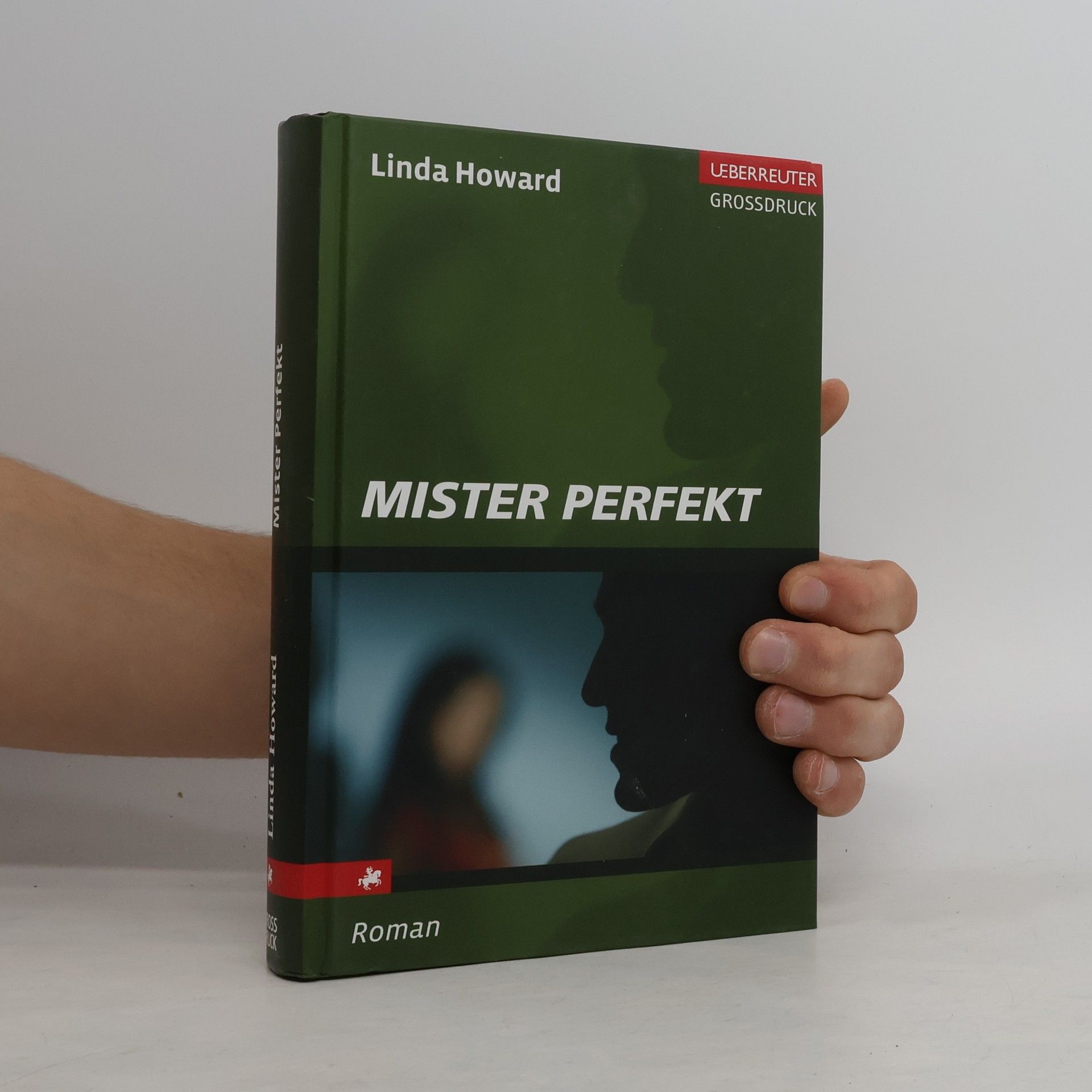 Linda Howard Mister Perfekt Großdruck