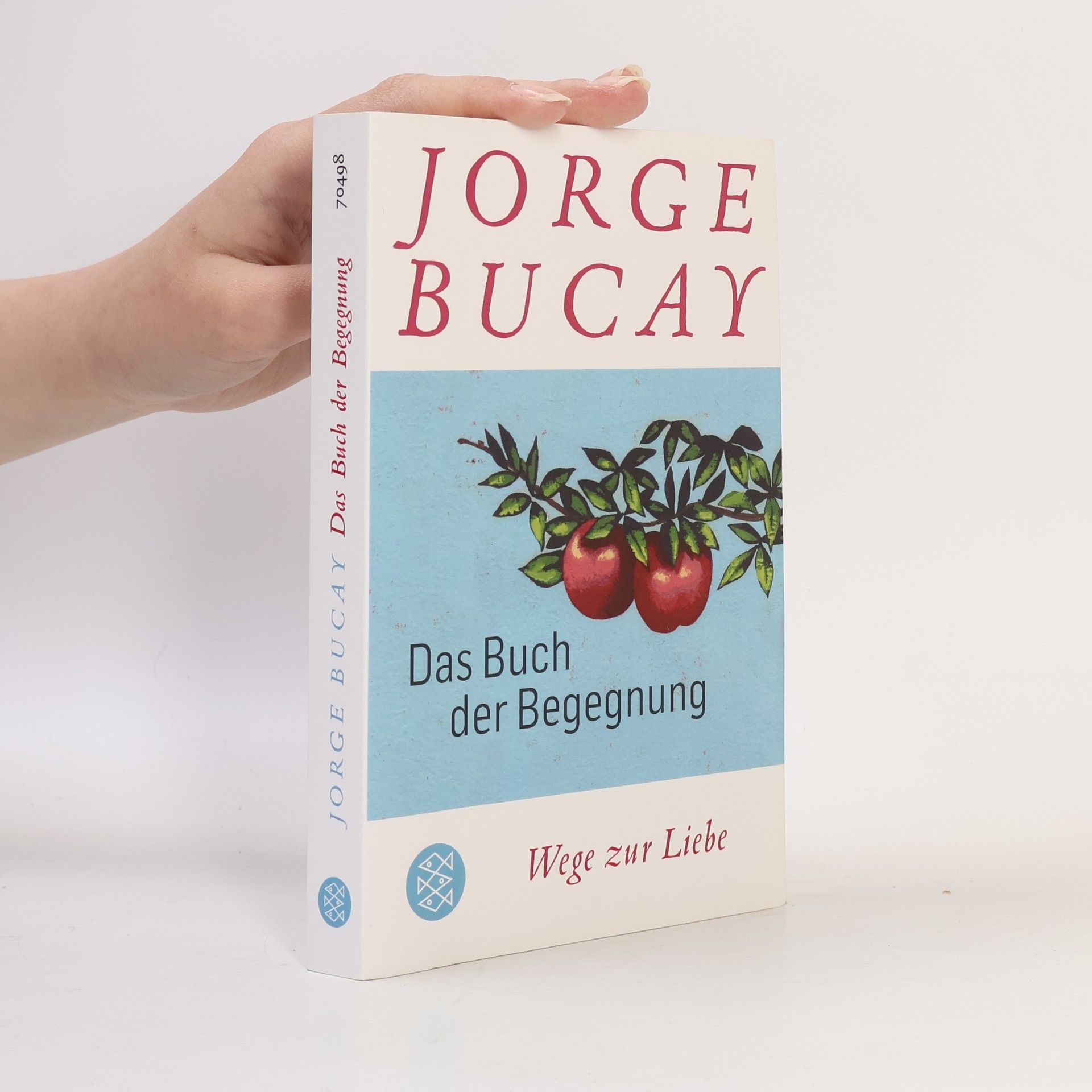 Jorge Bucay Das Buch der Begegnung