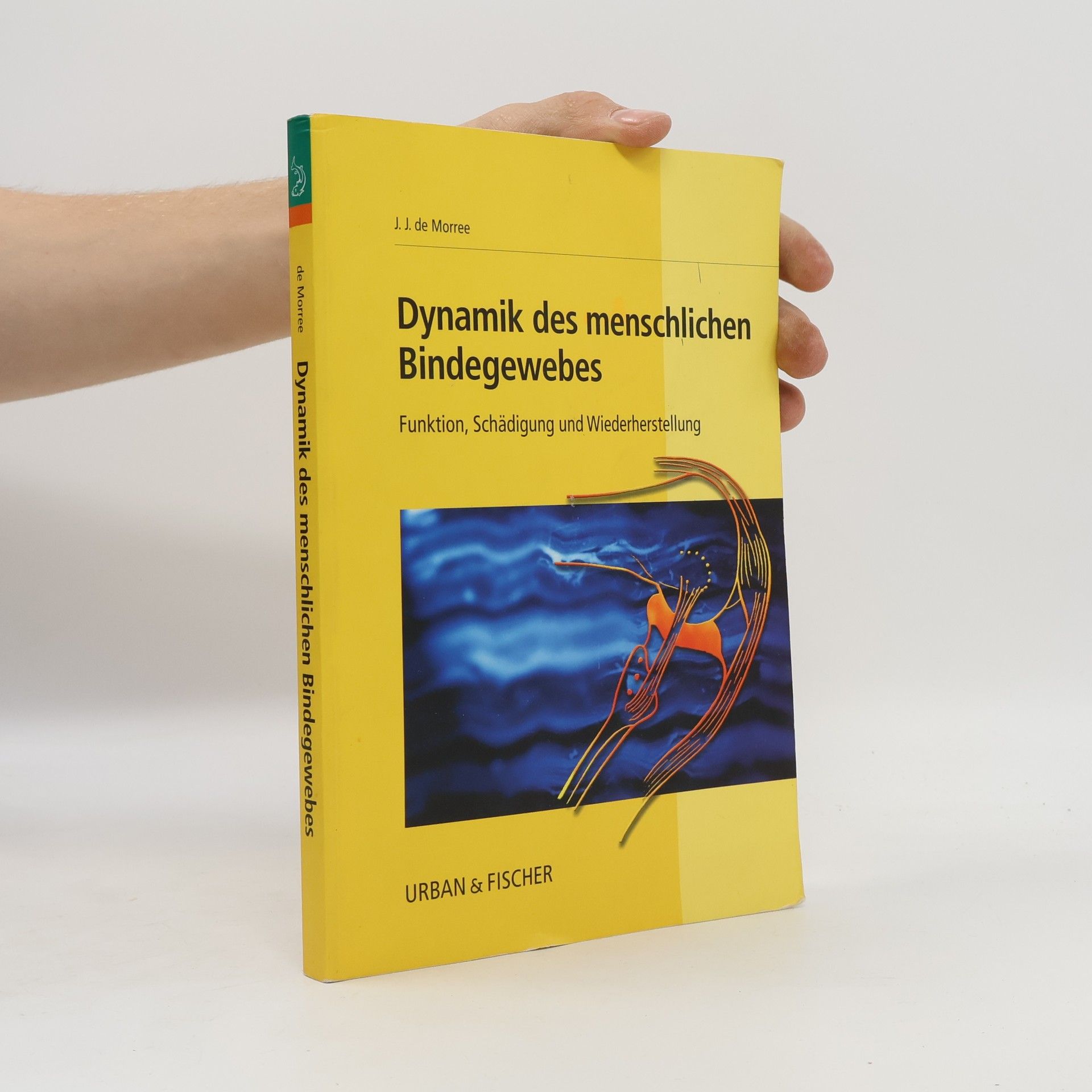 J.J. de Morree Dynamik des menschlichen Bindegewebes