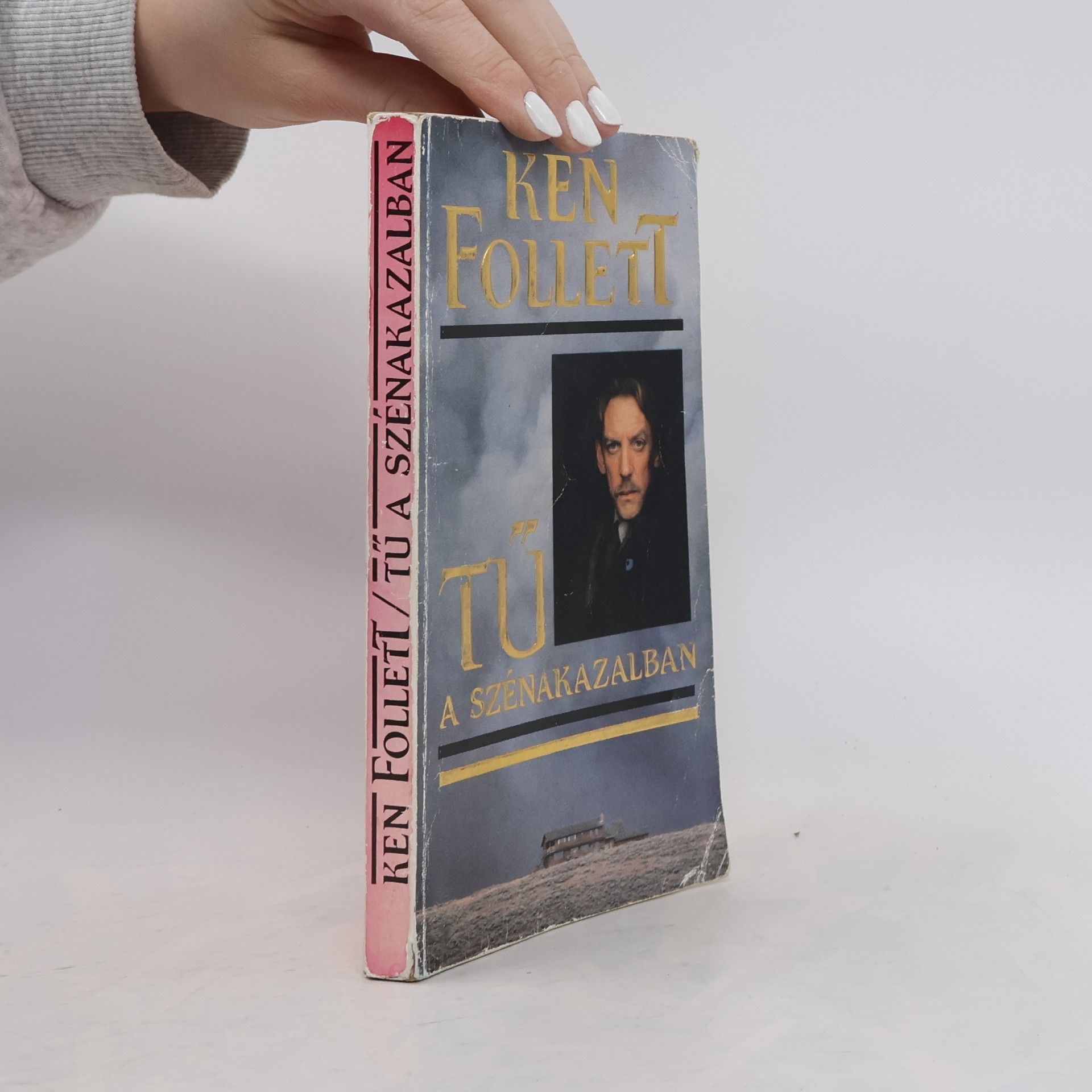 Ken Follett Tű a szénakazalban