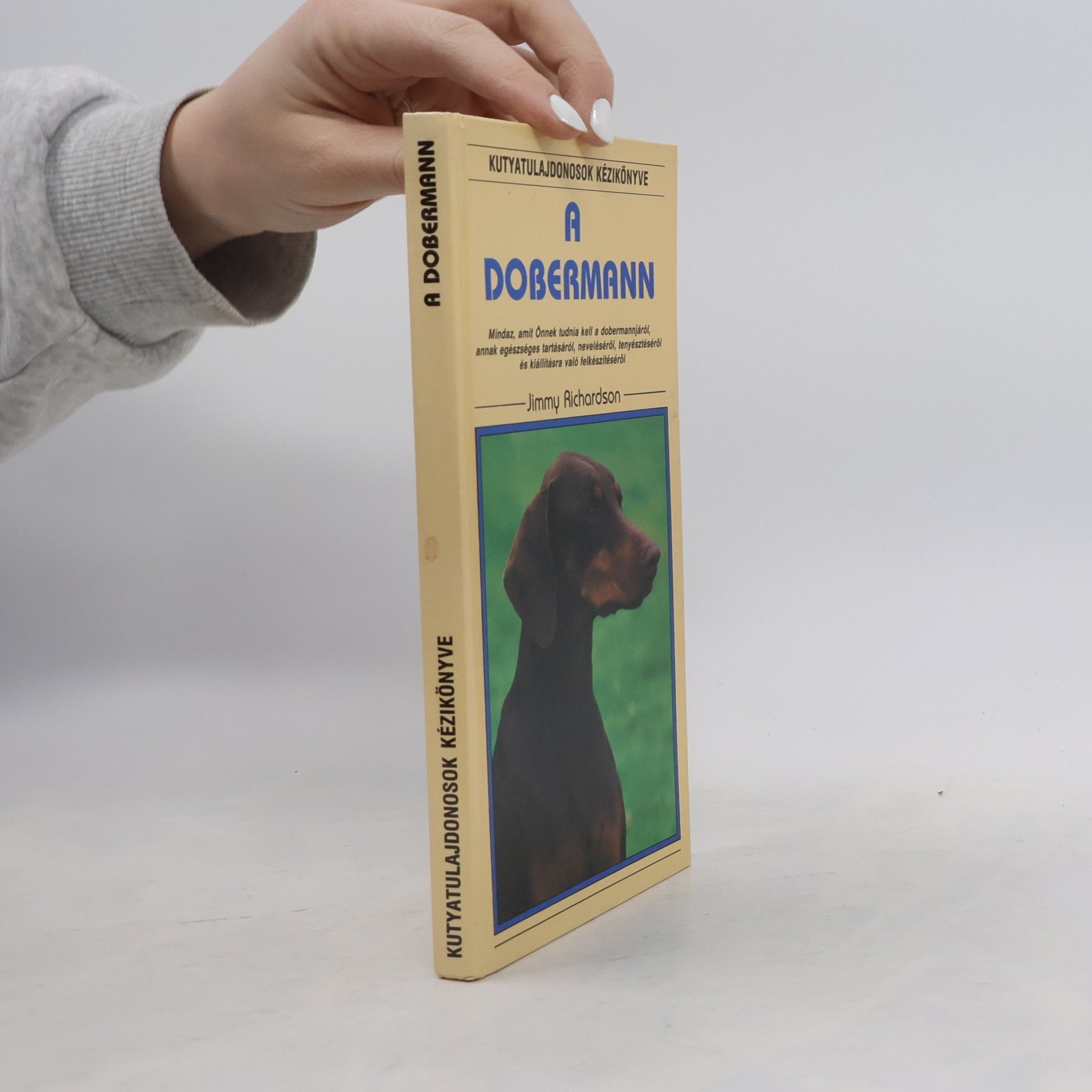 A dobermann