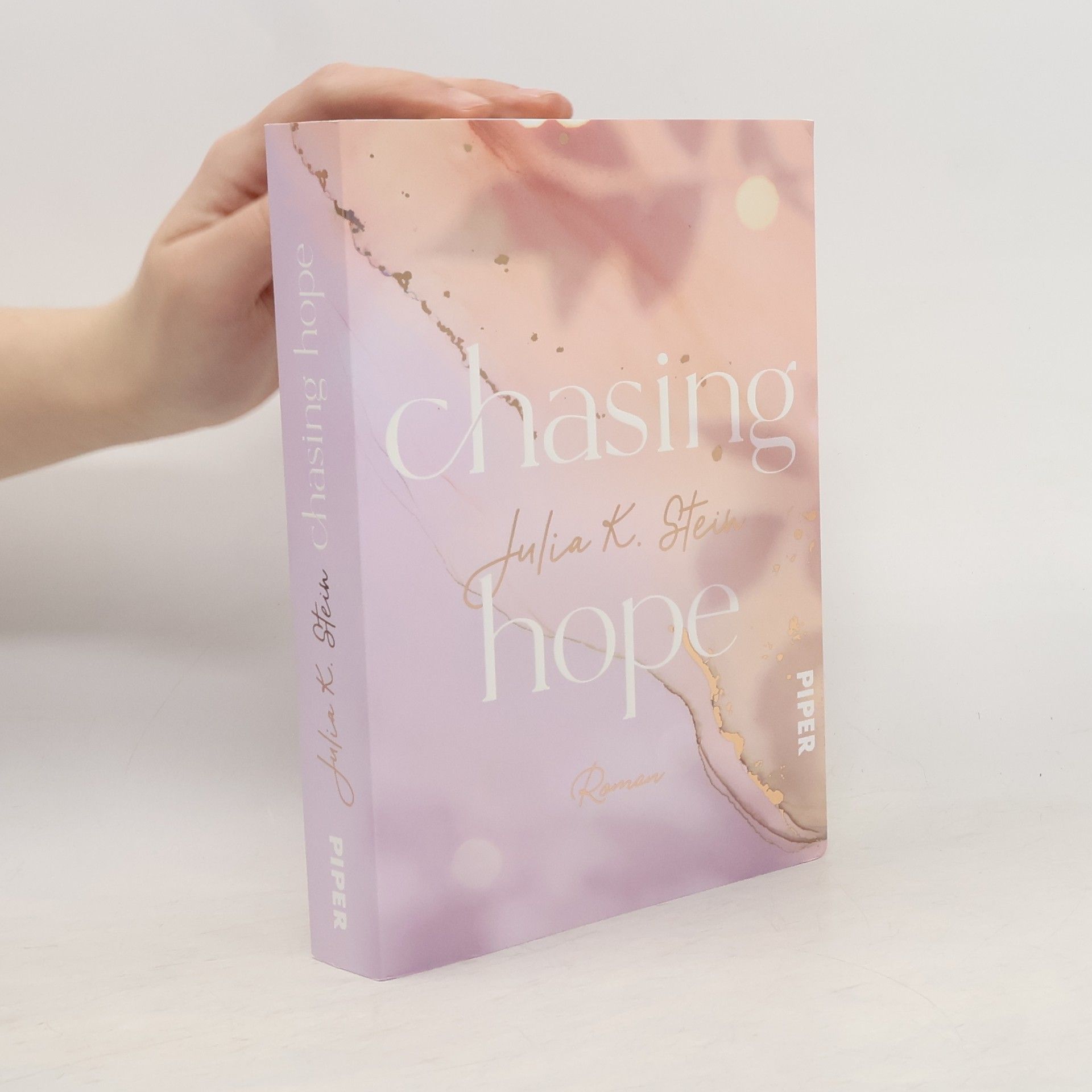 Julia K. Stein Chasing Hope