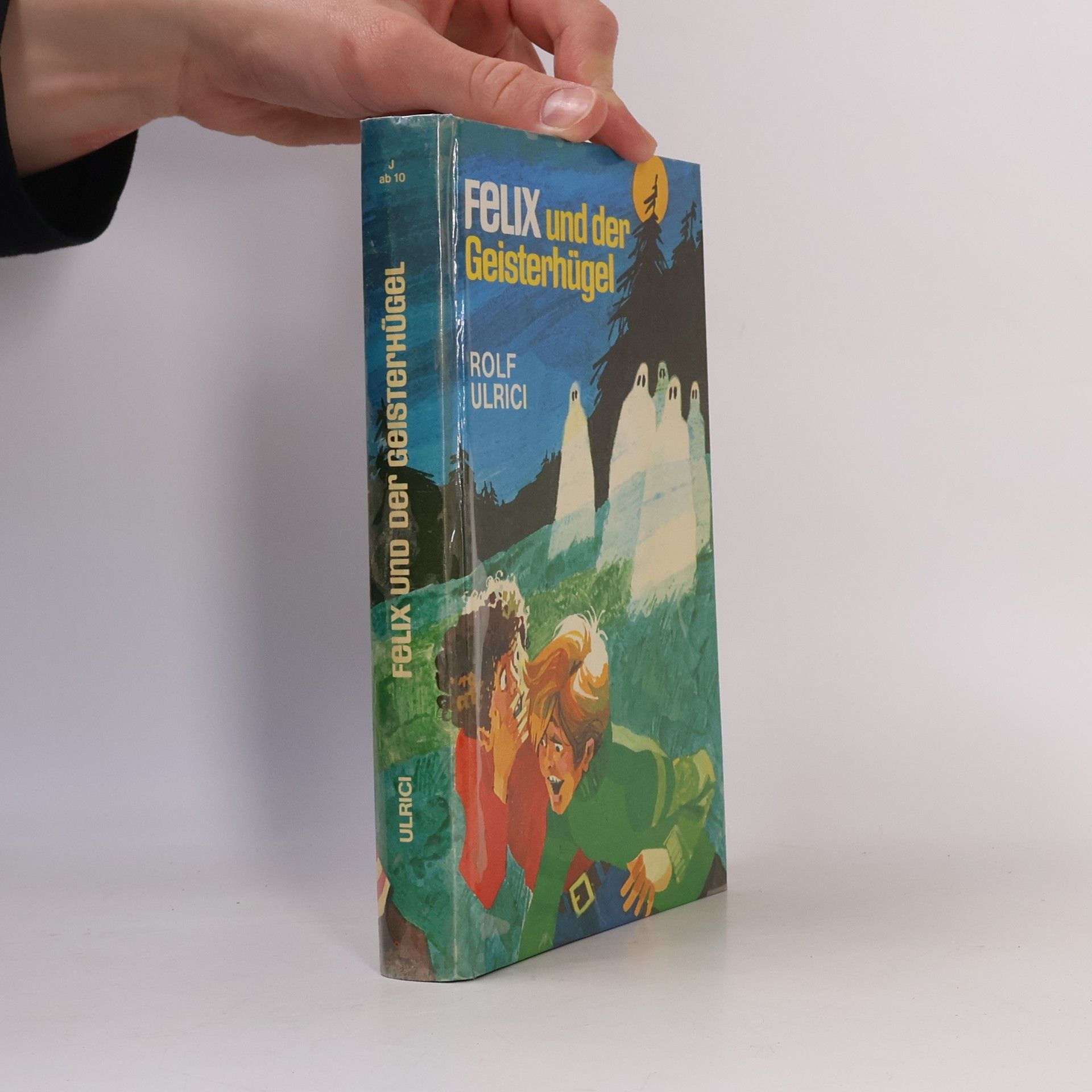 Rolf Ulrici Felix und der Geisterhügel