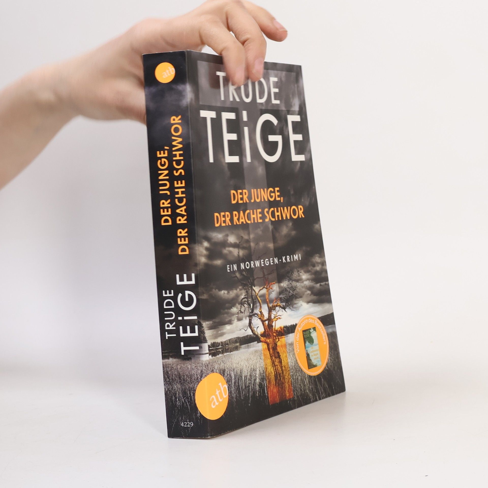 Trude Teige Der Junge, der Rache schwor