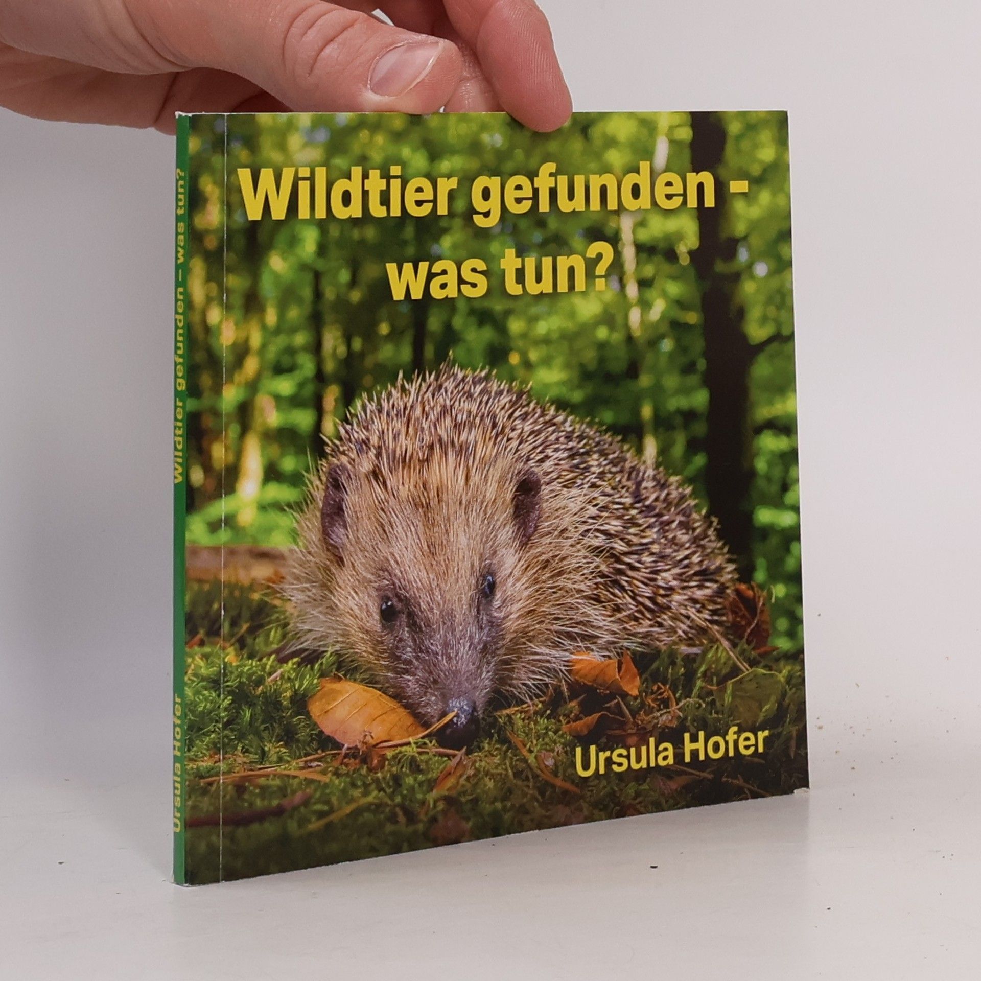 Ursula Hofer Wildtier gefunden - was tun?