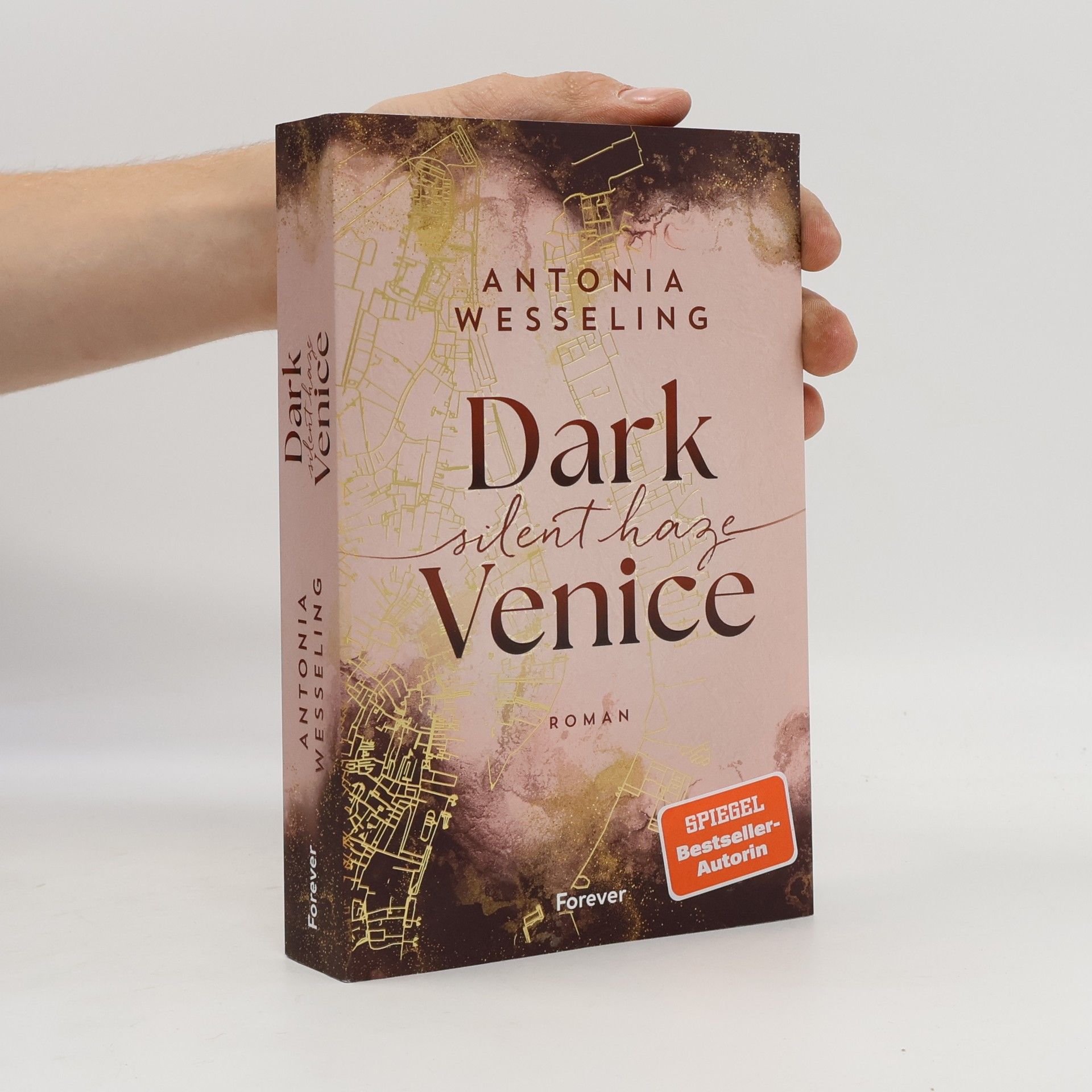 Dark Venice. Silent Haze