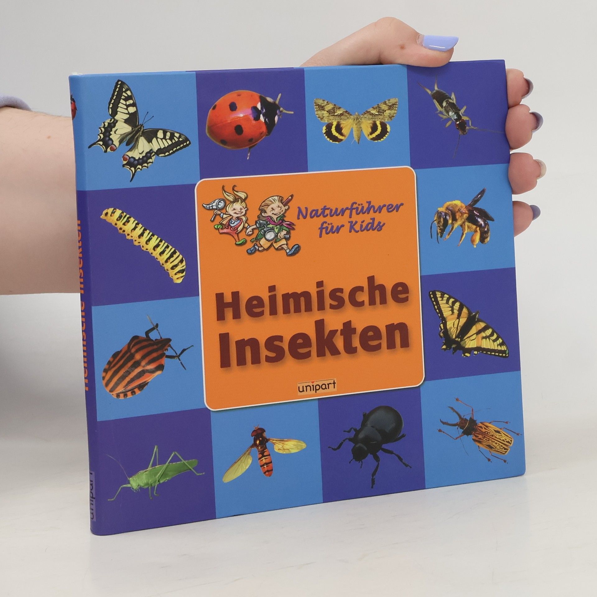 Heimische Insekten