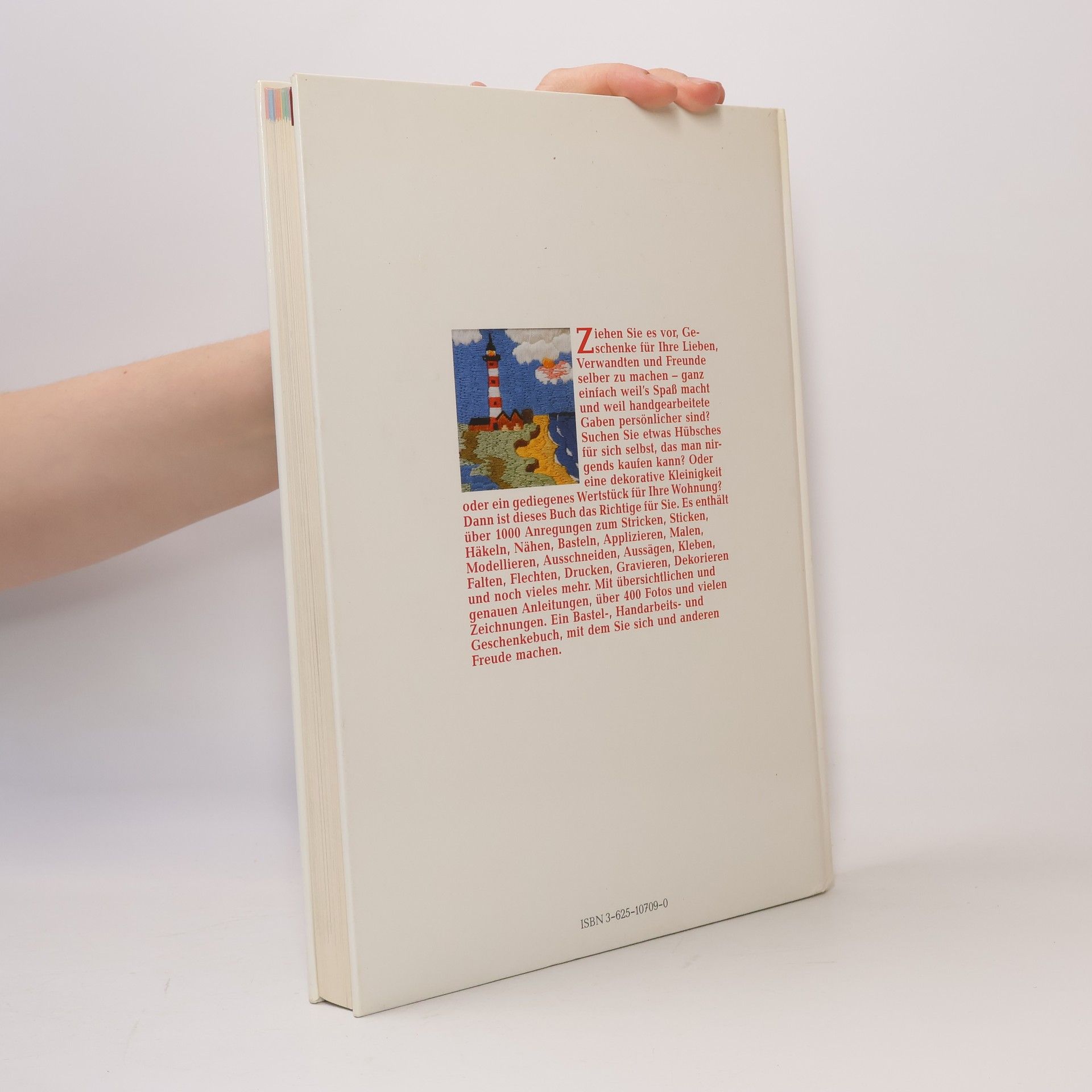 Johannes Haller Das grosse Geschenke- & [und] Bastelbuch