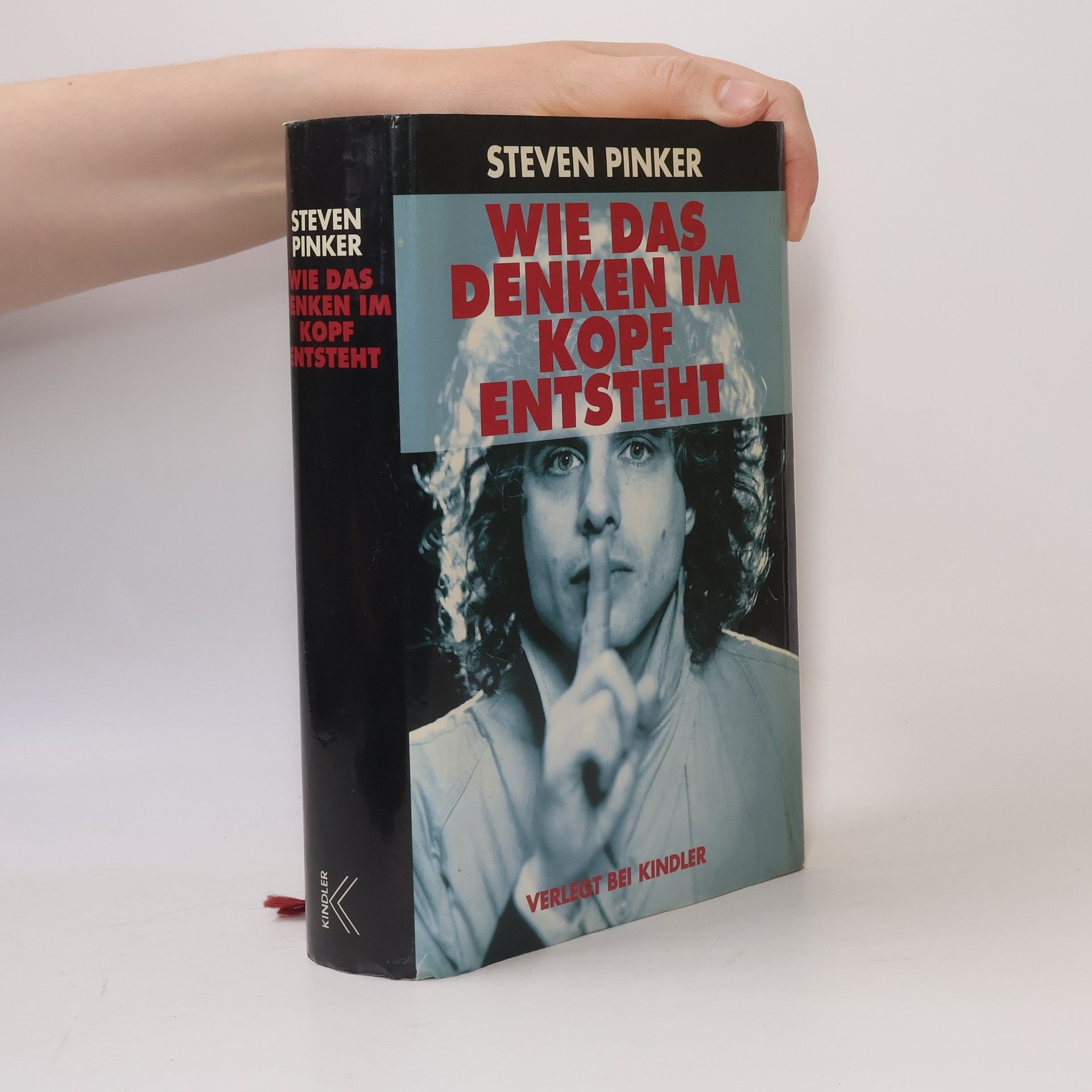 Steven Pinker Wie das Denken im Kopf entsteht