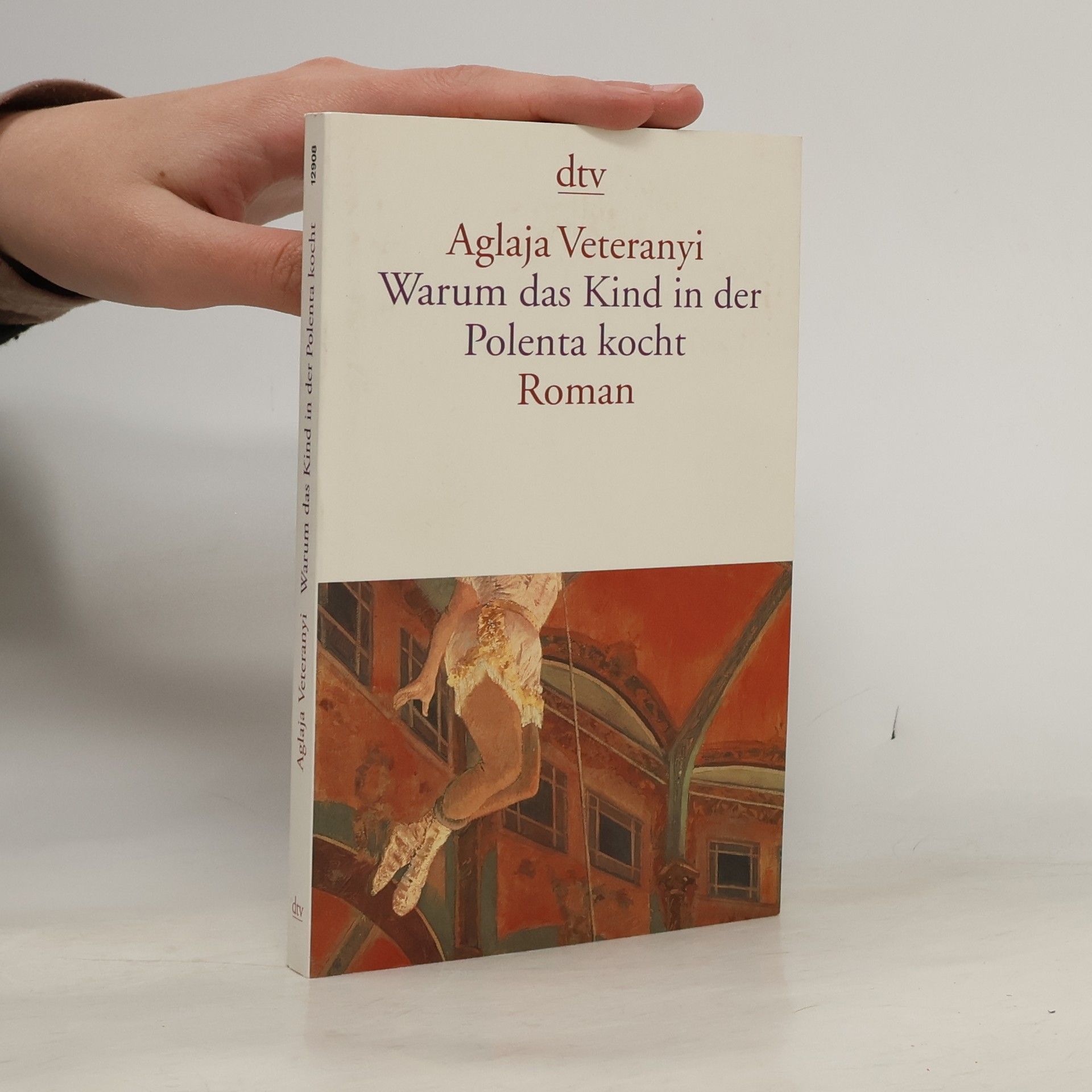 Aglaja Veteranyi Warum das Kind in der Polenta kocht