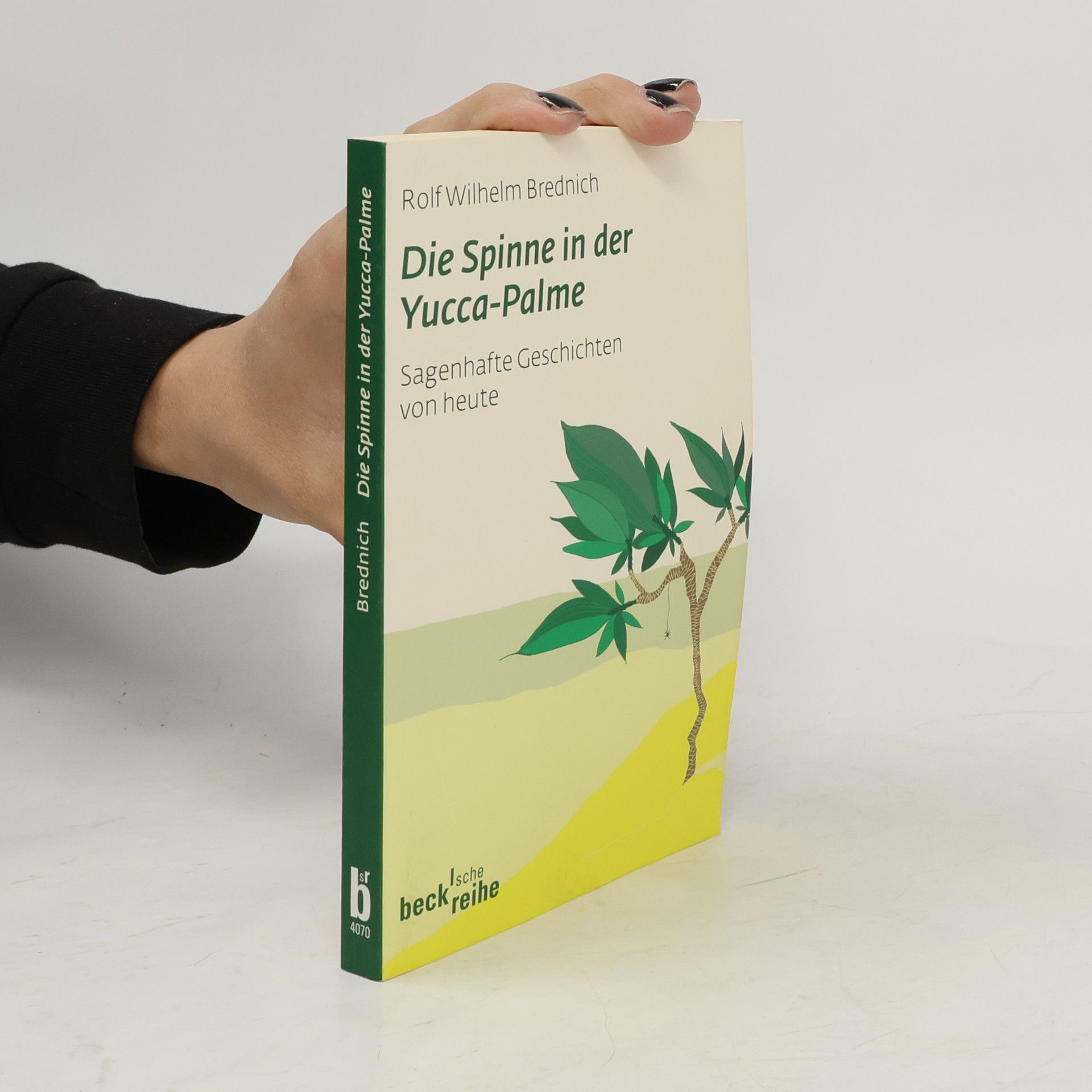 Rolf Wilhelm Brednich Die Spinne in der Yucca-Palme