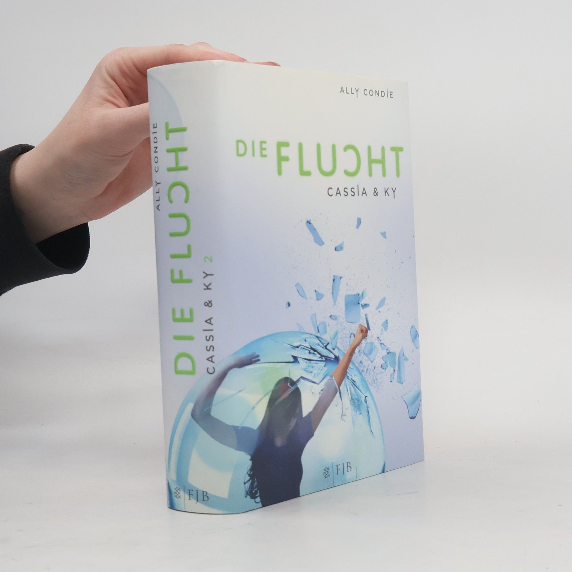 Ally Condie Die Flucht
