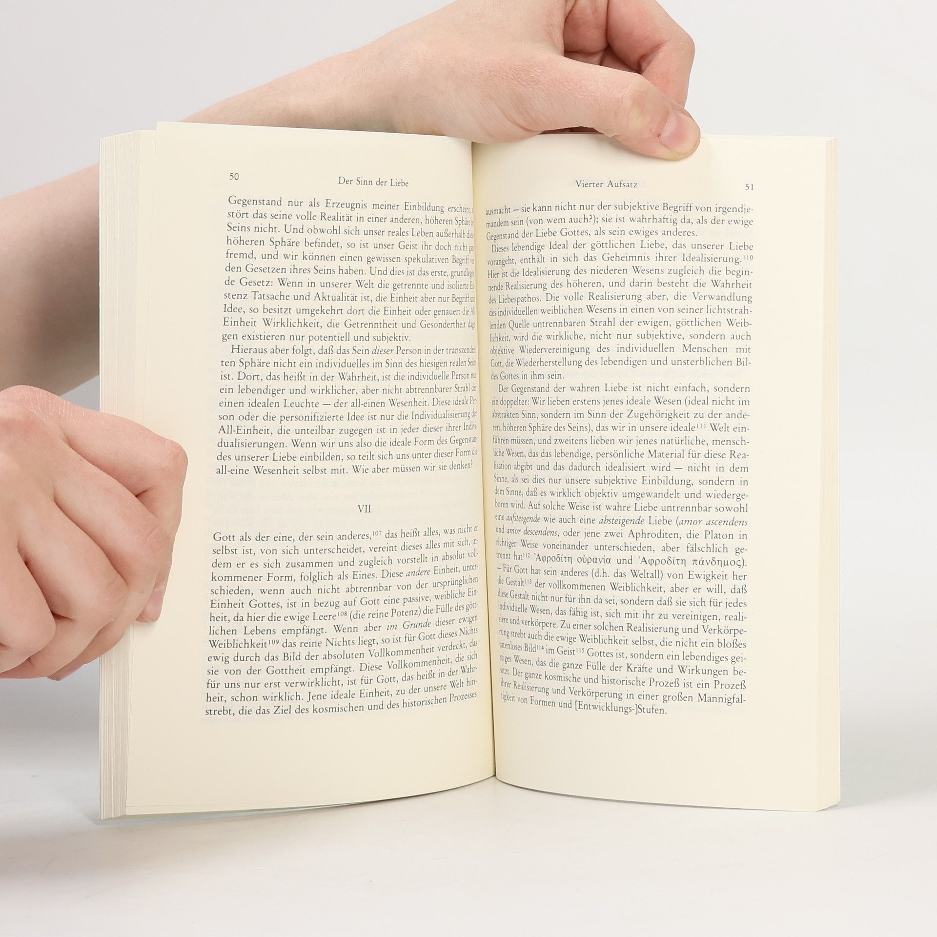 Wladimir Sergejewitsch Solowjow Philosophische Bibliothek: Der Sinn der Liebe