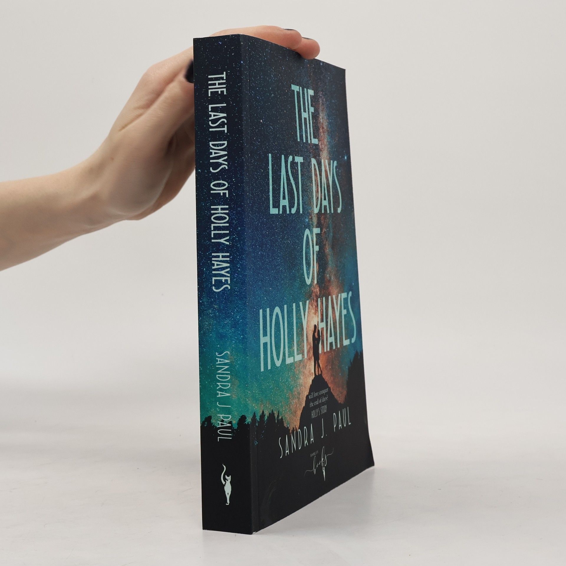 Sandra J. Paul The Last Days of Holly Hayes