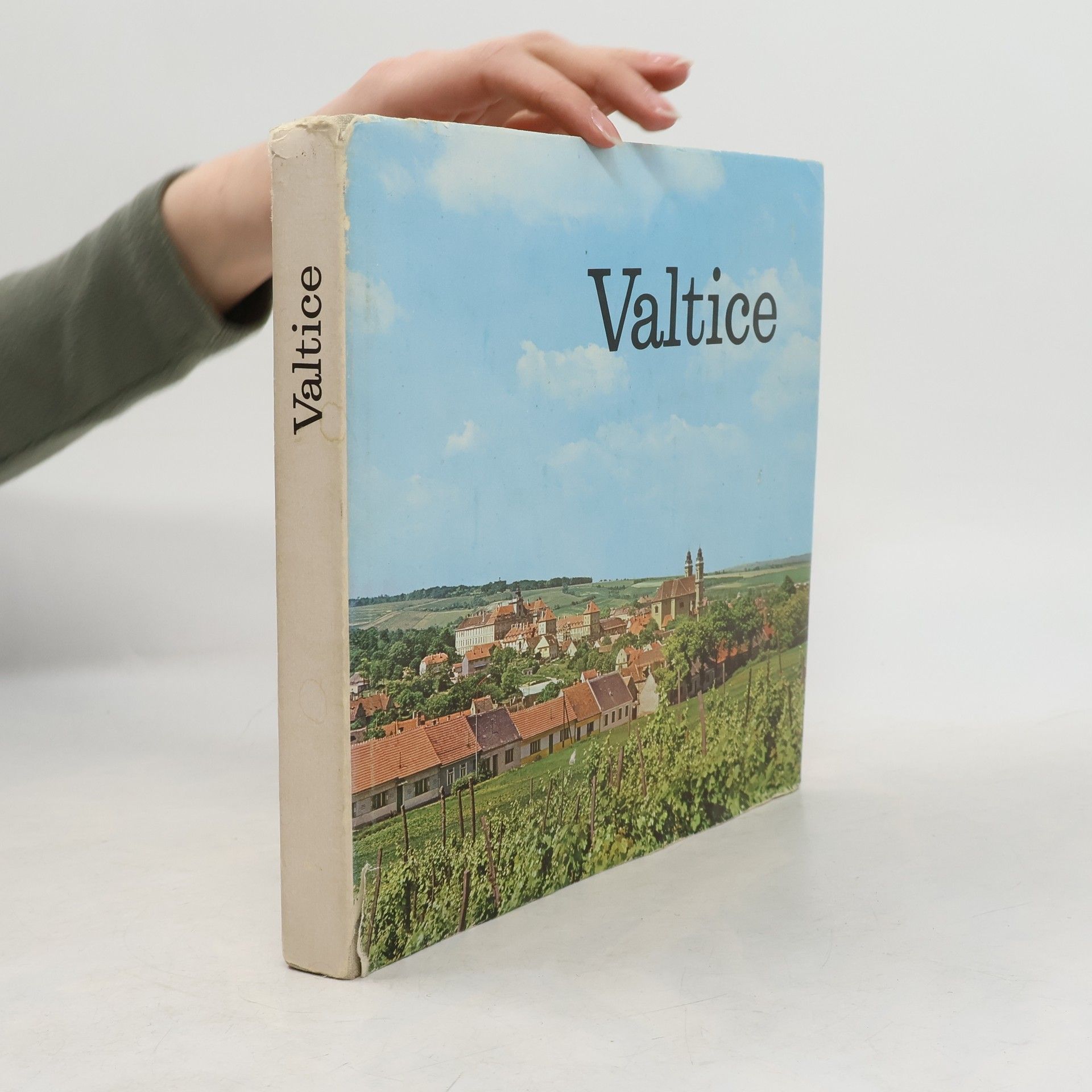 Kolektiv autorů Valtice