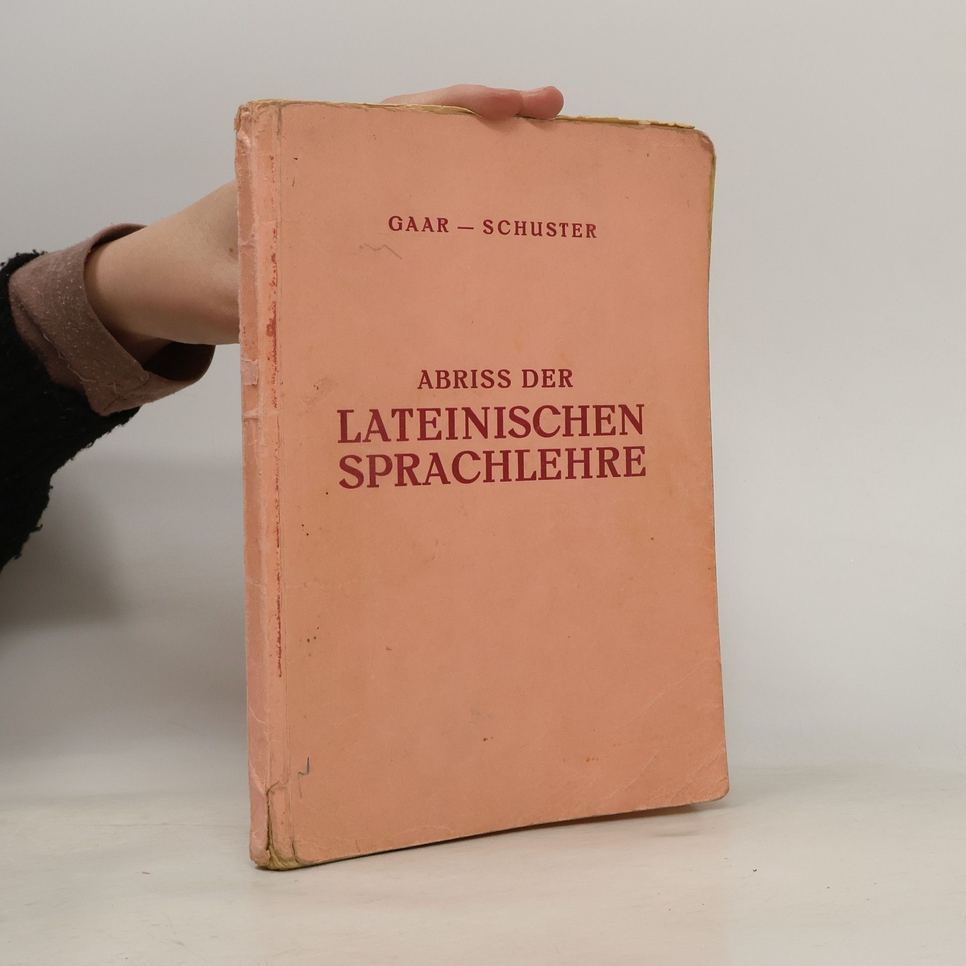 Abriss der lateinischen Sprachlehre