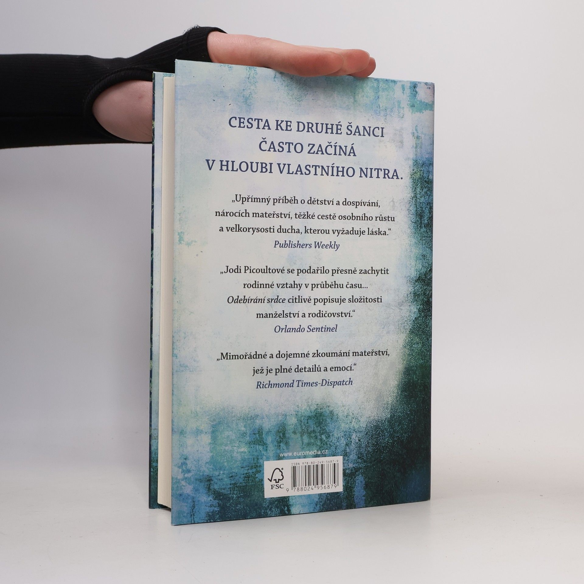 Jodi Picoult Odebírání srdce