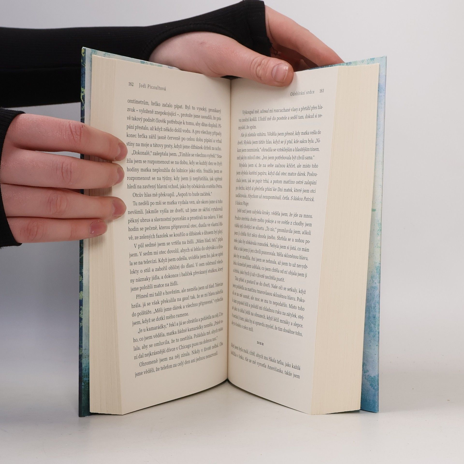 Jodi Picoult Odebírání srdce