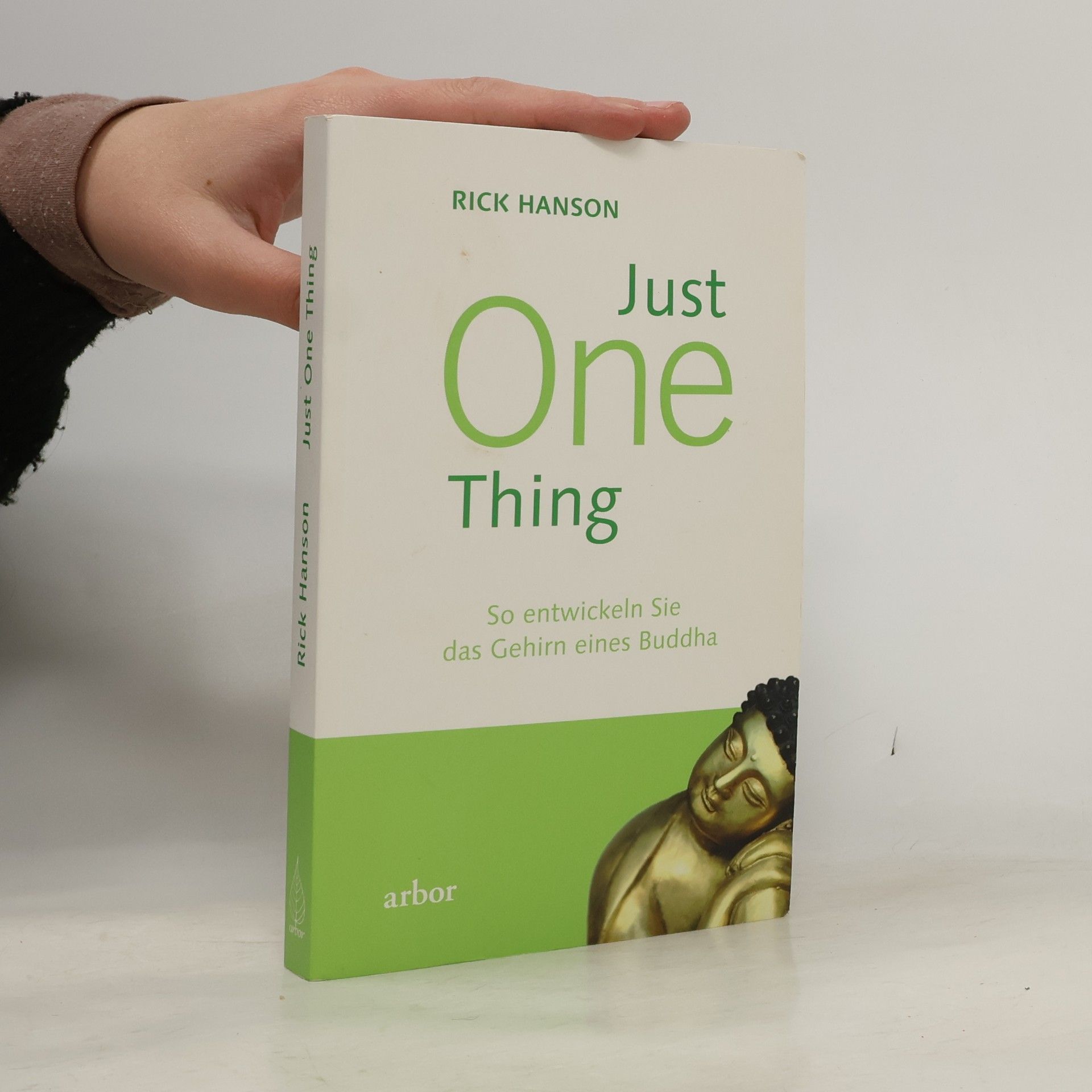 Rick Hanson Just One Thing