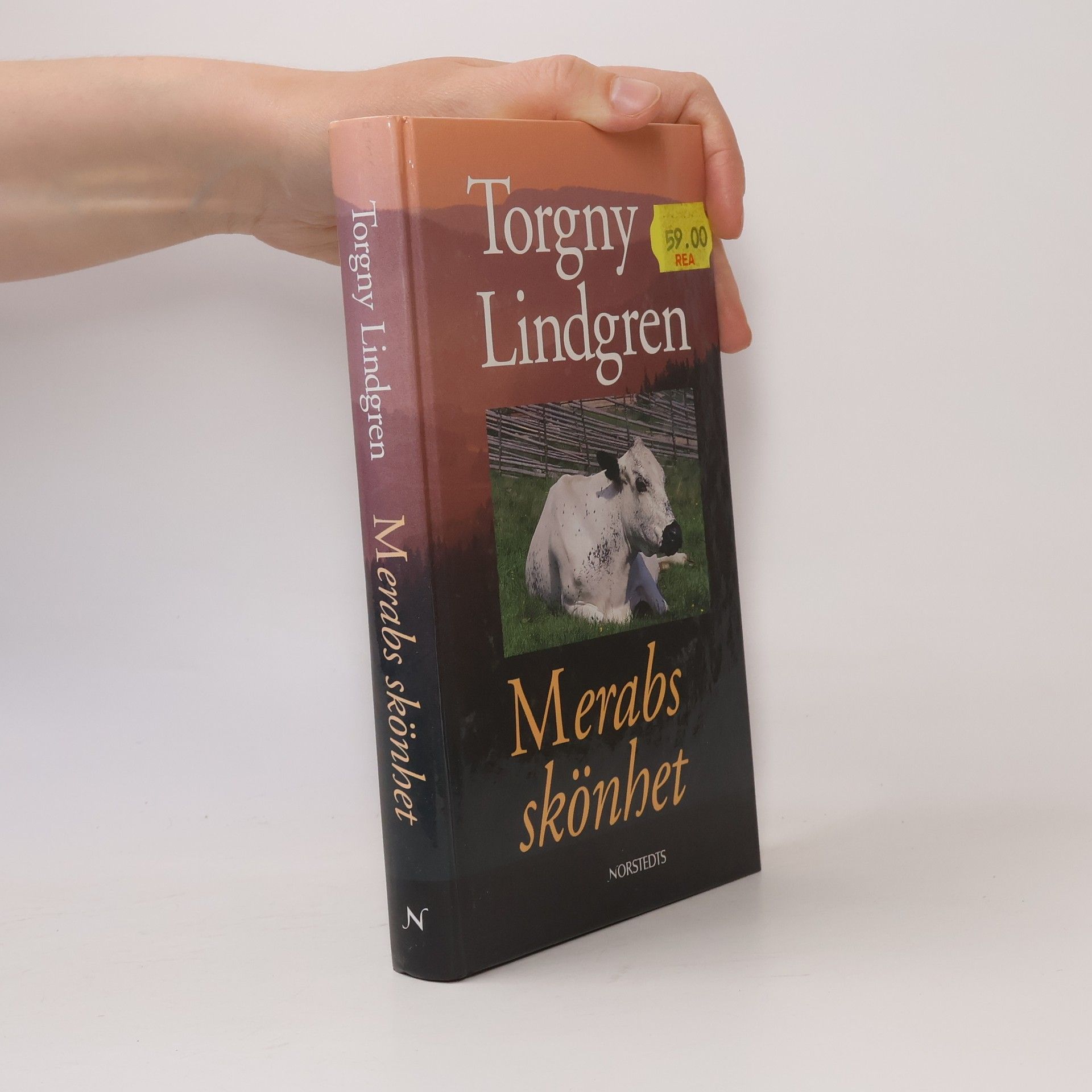Torgny Lindgren Merabs skönhet