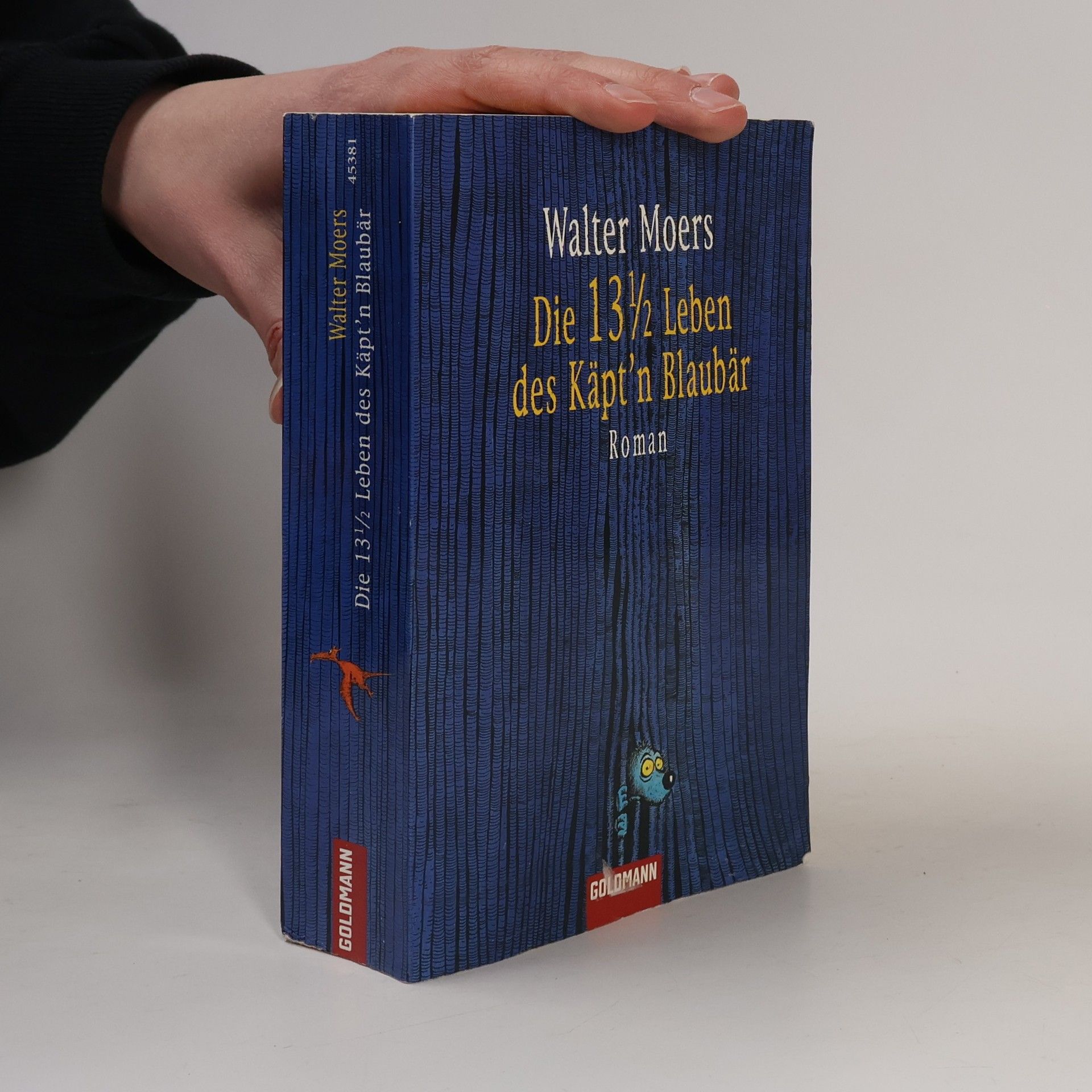 Walter Moers Die 13 1/2 Leben des Käpt'n Blaubär