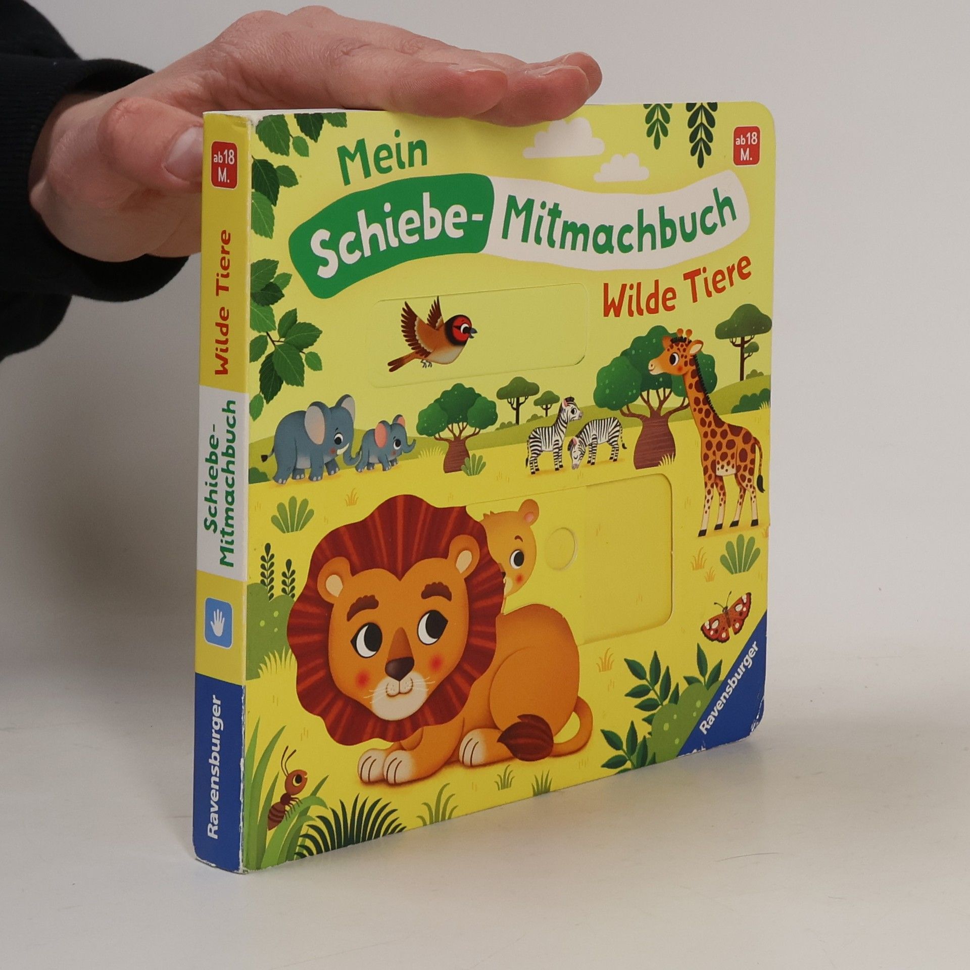 Federica Iossa Mein Schiebe-Mitmachbuch - Wilde Tiere