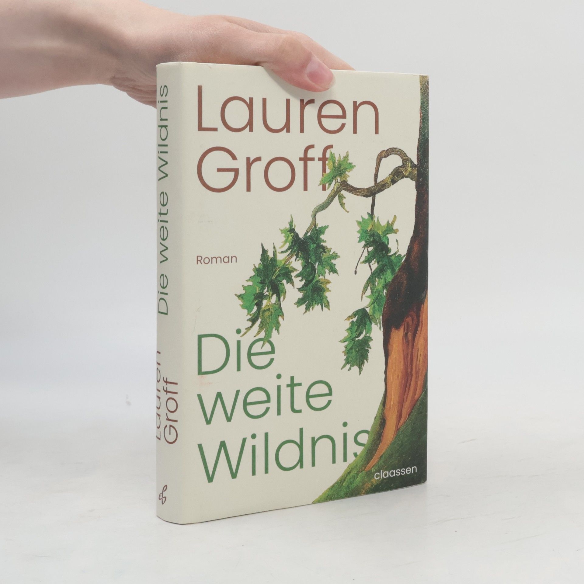 Lauren Groff Die weite Wildnis
