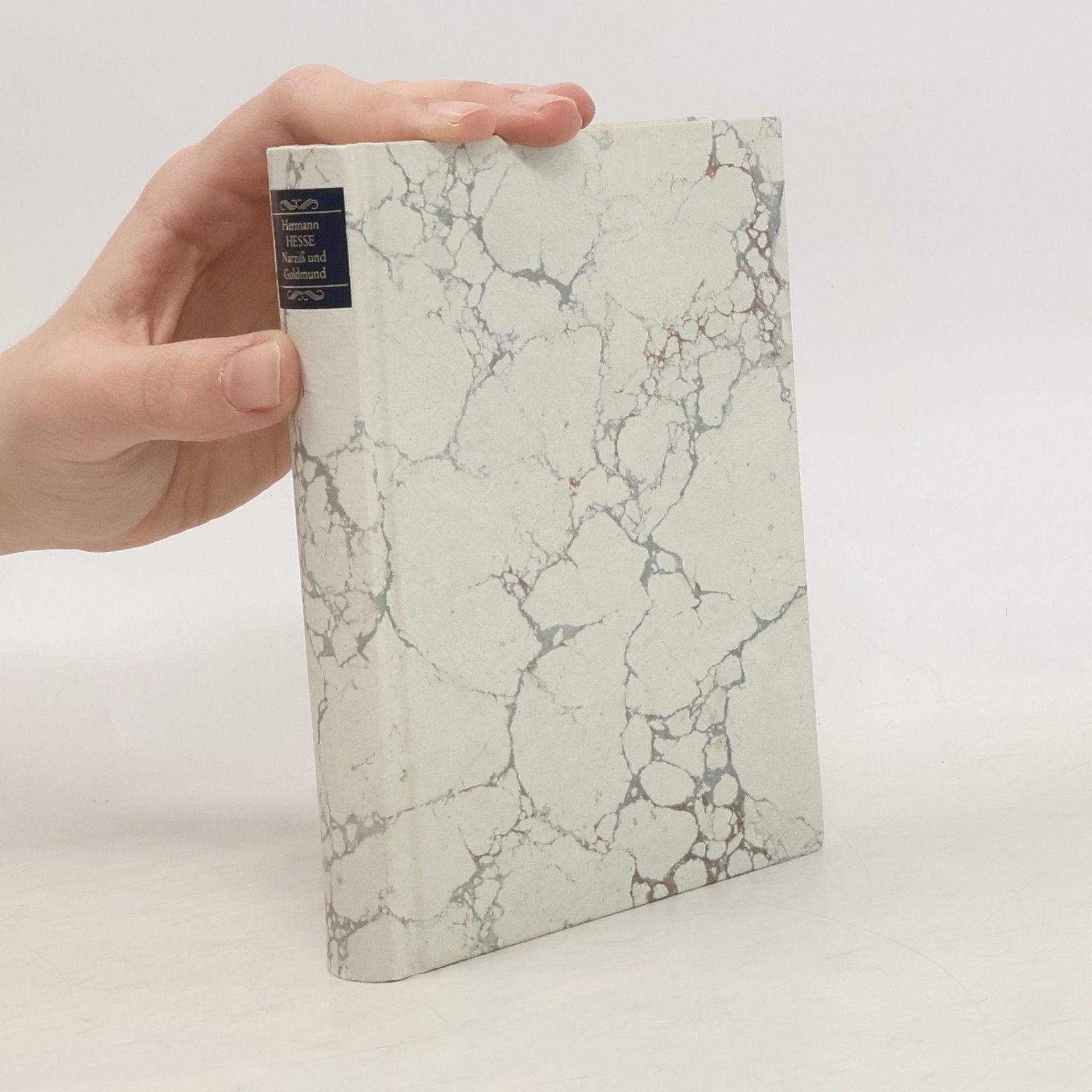 Hermann Hesse Narziß und Goldmund