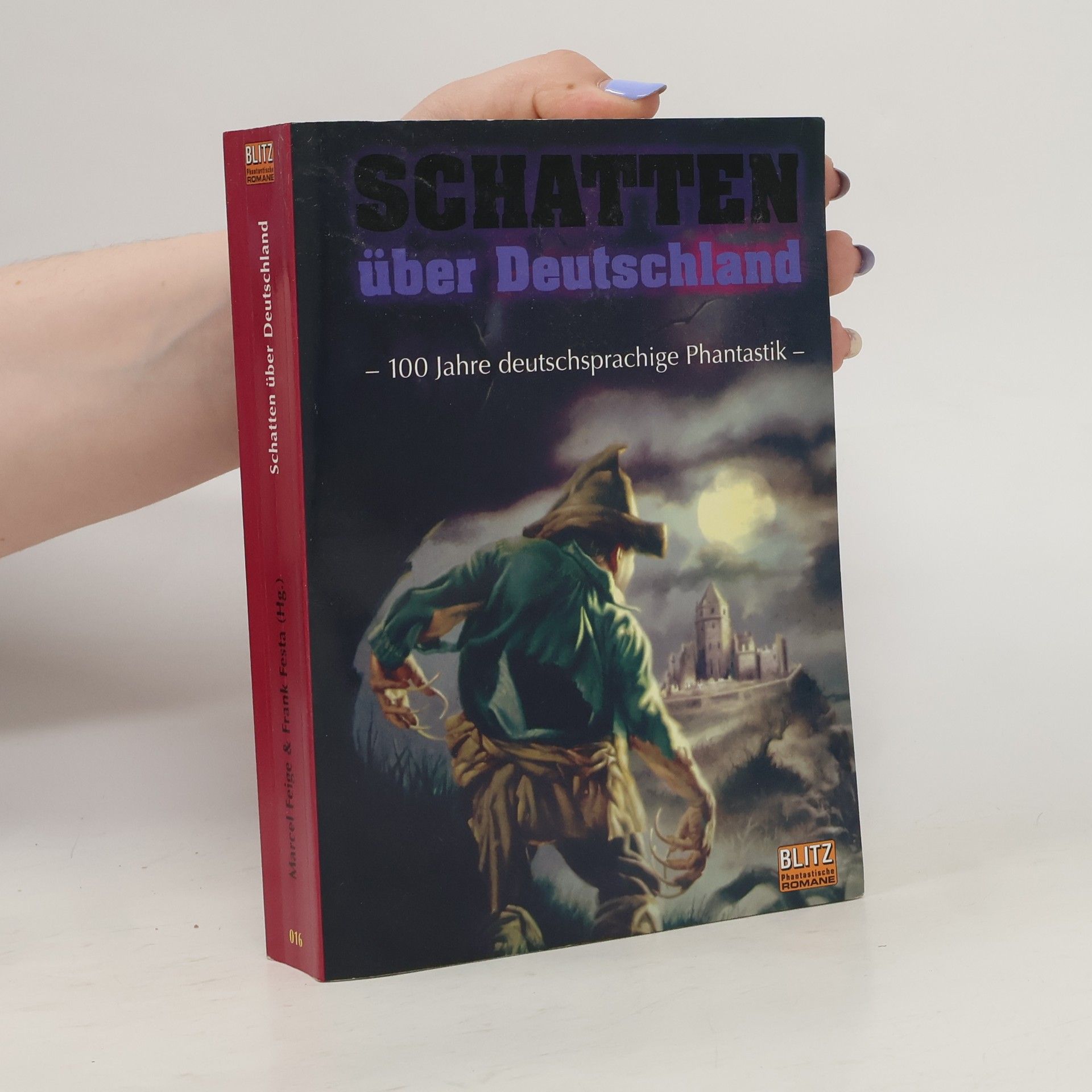 Frank Festa Schatten über Deutschland