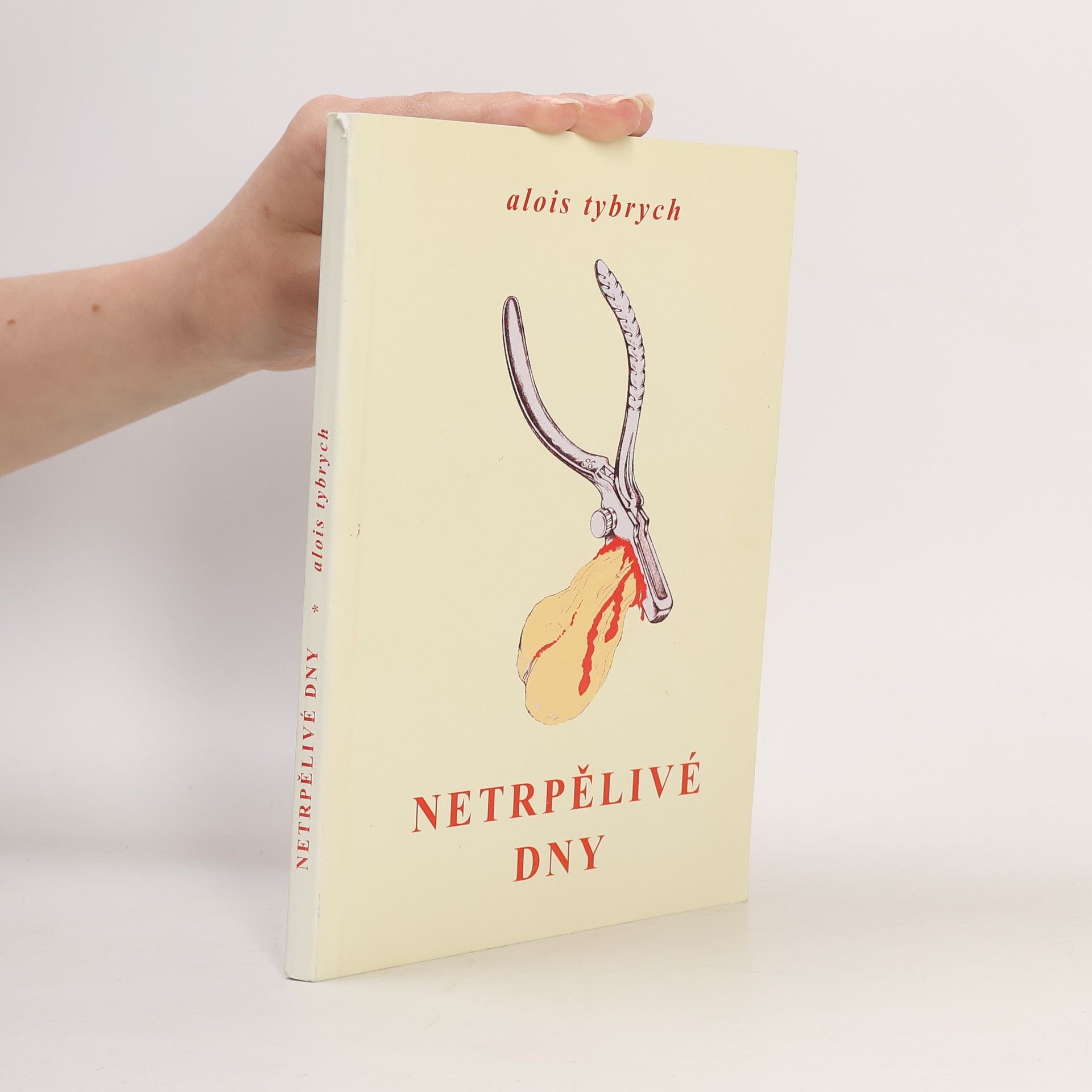 Josef A. Tichý Netrpělivé dny