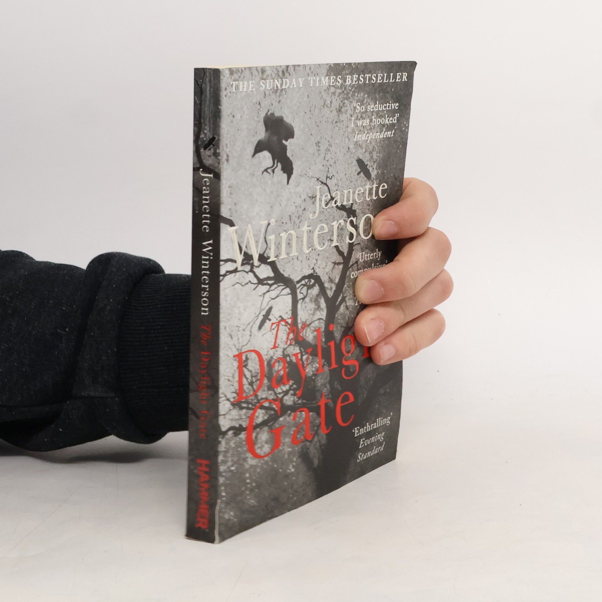 Jeanette Winterson The Daylight Gate