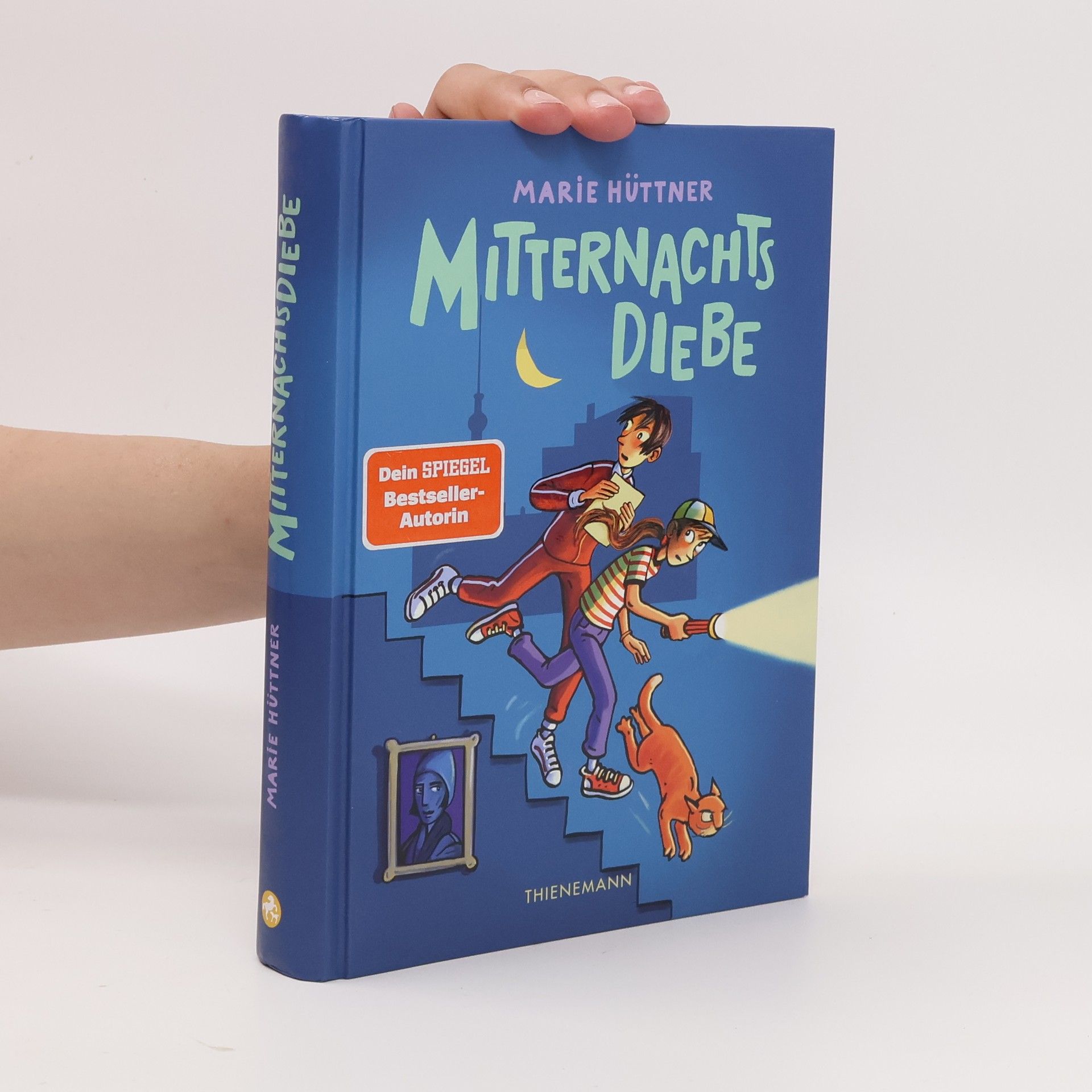 Marie Hüttner Mitternachtsdiebe