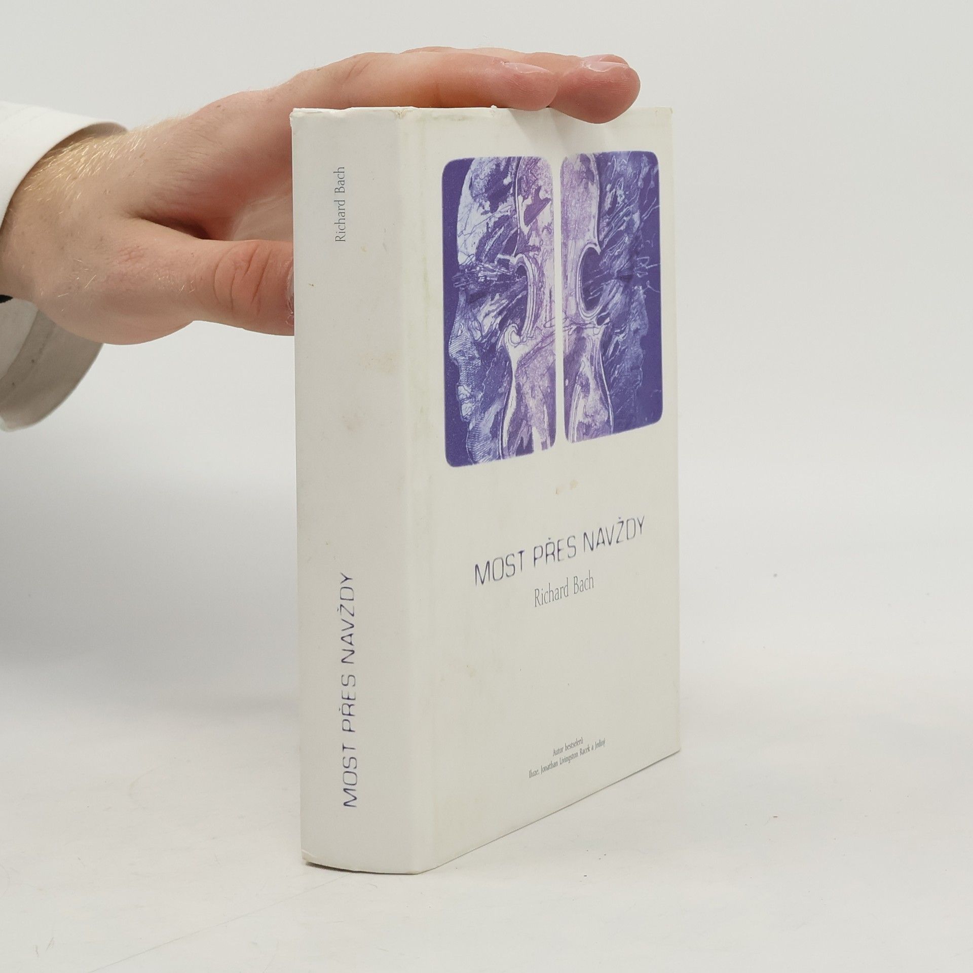 Richard David Bach Most přes navždy