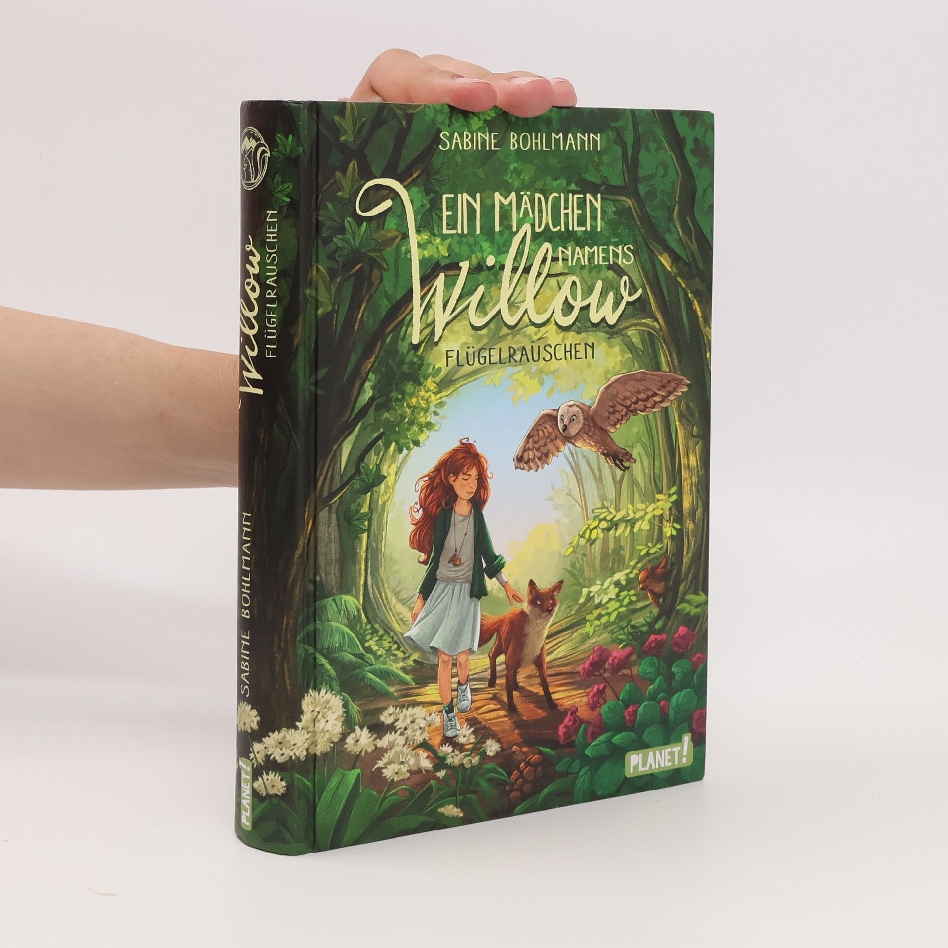 Sabine Bohlmann Ein Mädchen namens Willow - Flügelrauschen