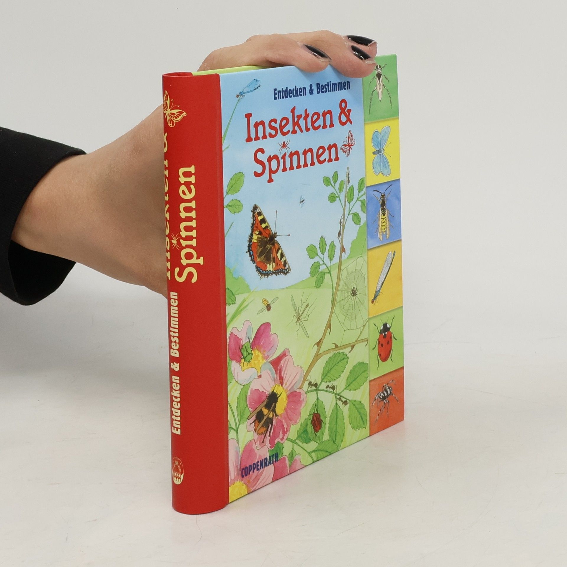 Barbara Wernsing Entdecken und Bestimmen. Insekten und Spinnen
