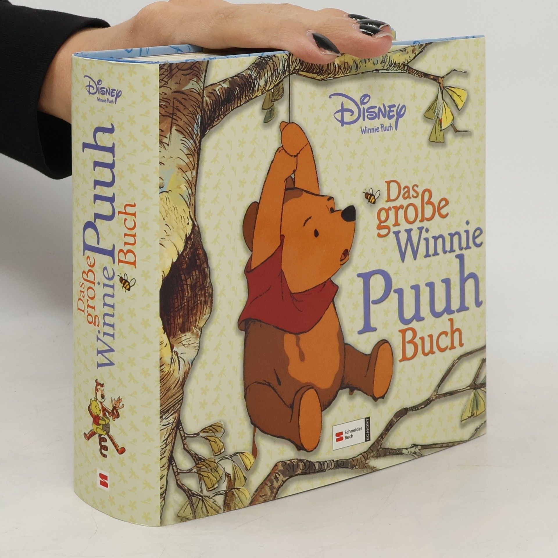 Das große Winnie-Puuh-Buch