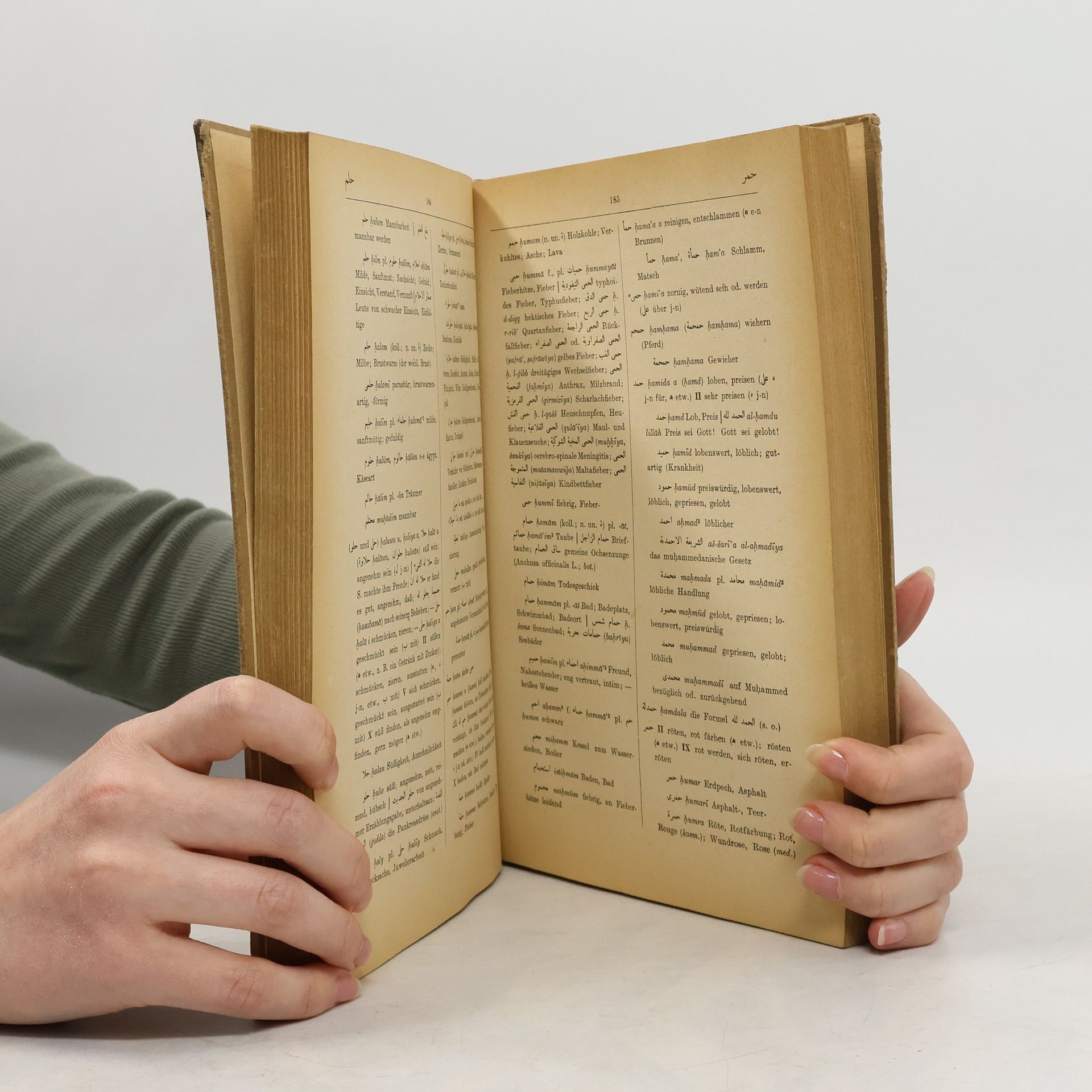 Hans Wehr Arabisches Wörterbuch für die Schriftsprache der Gegenwart (unvollständig - nur ca. 500 Seiten)