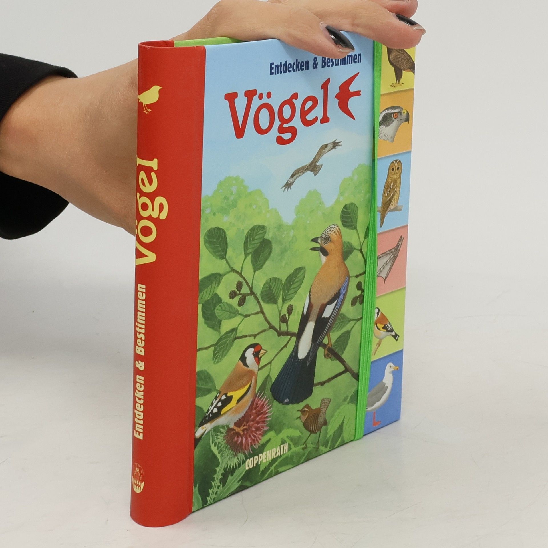 Collectif d'auteurs Entdecken und Bestimmen. Vögel